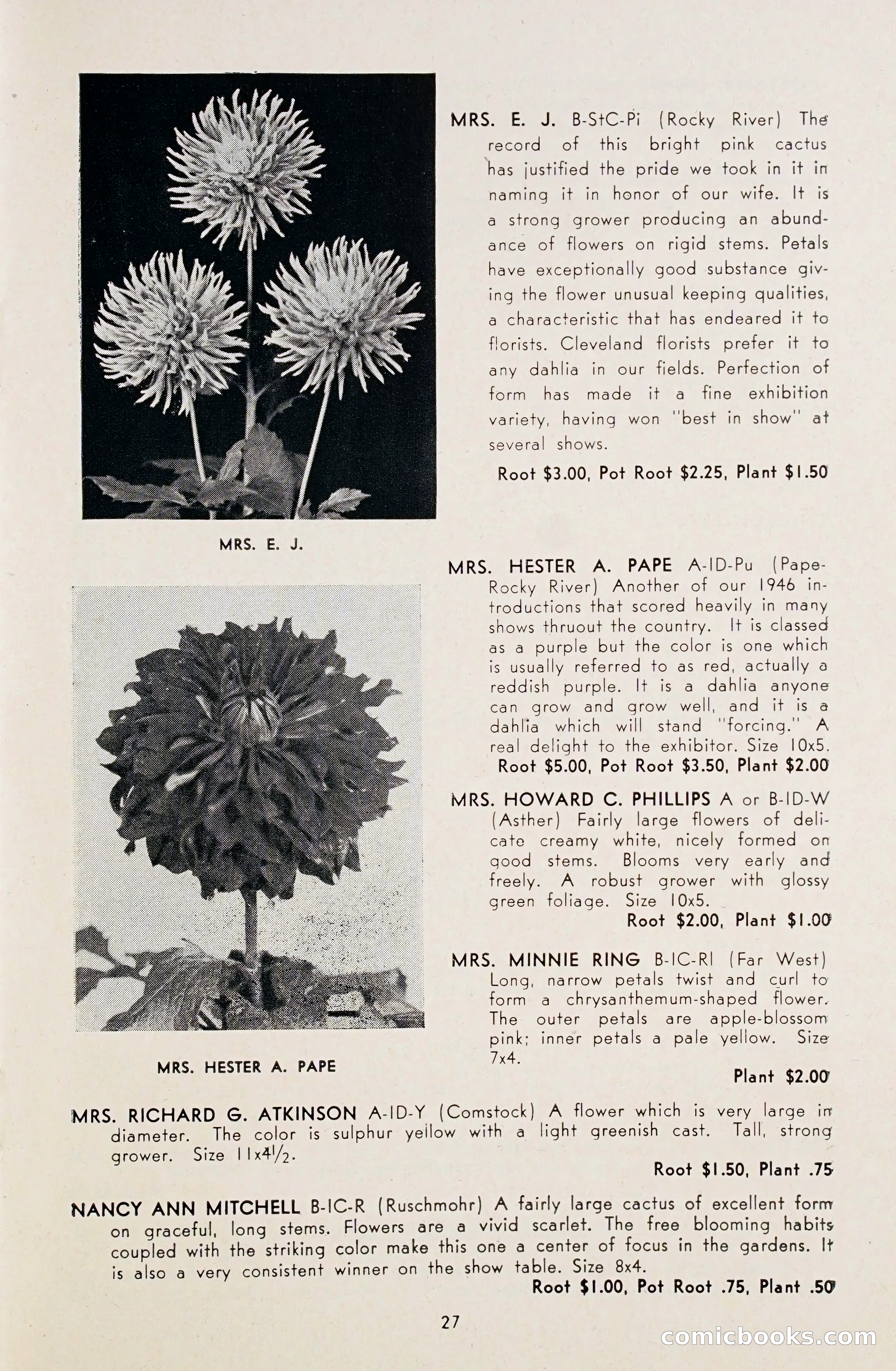 Dahlia Blue Book for 1948 — page 32 of 58