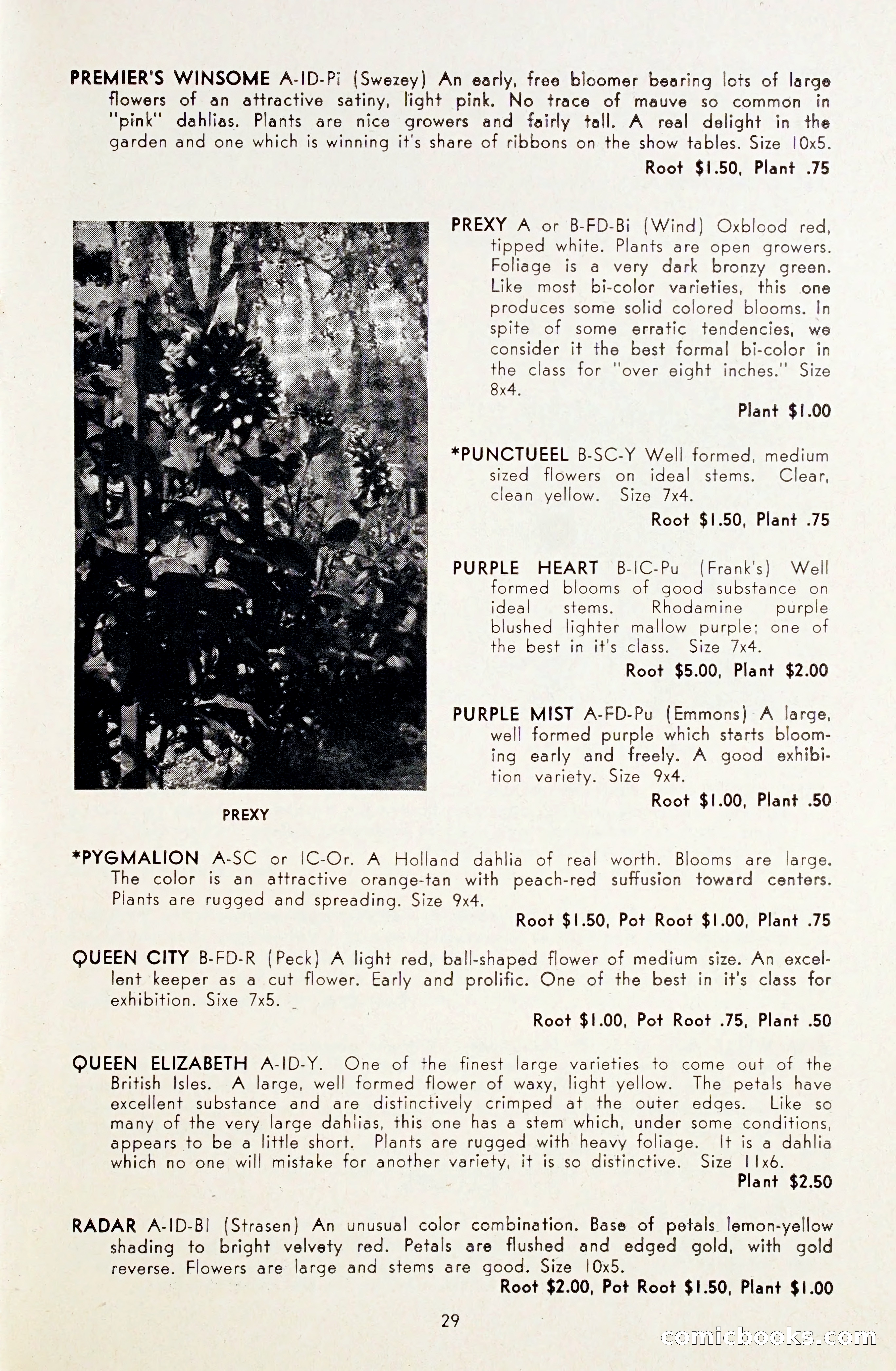 Dahlia Blue Book for 1948 — page 34 of 58