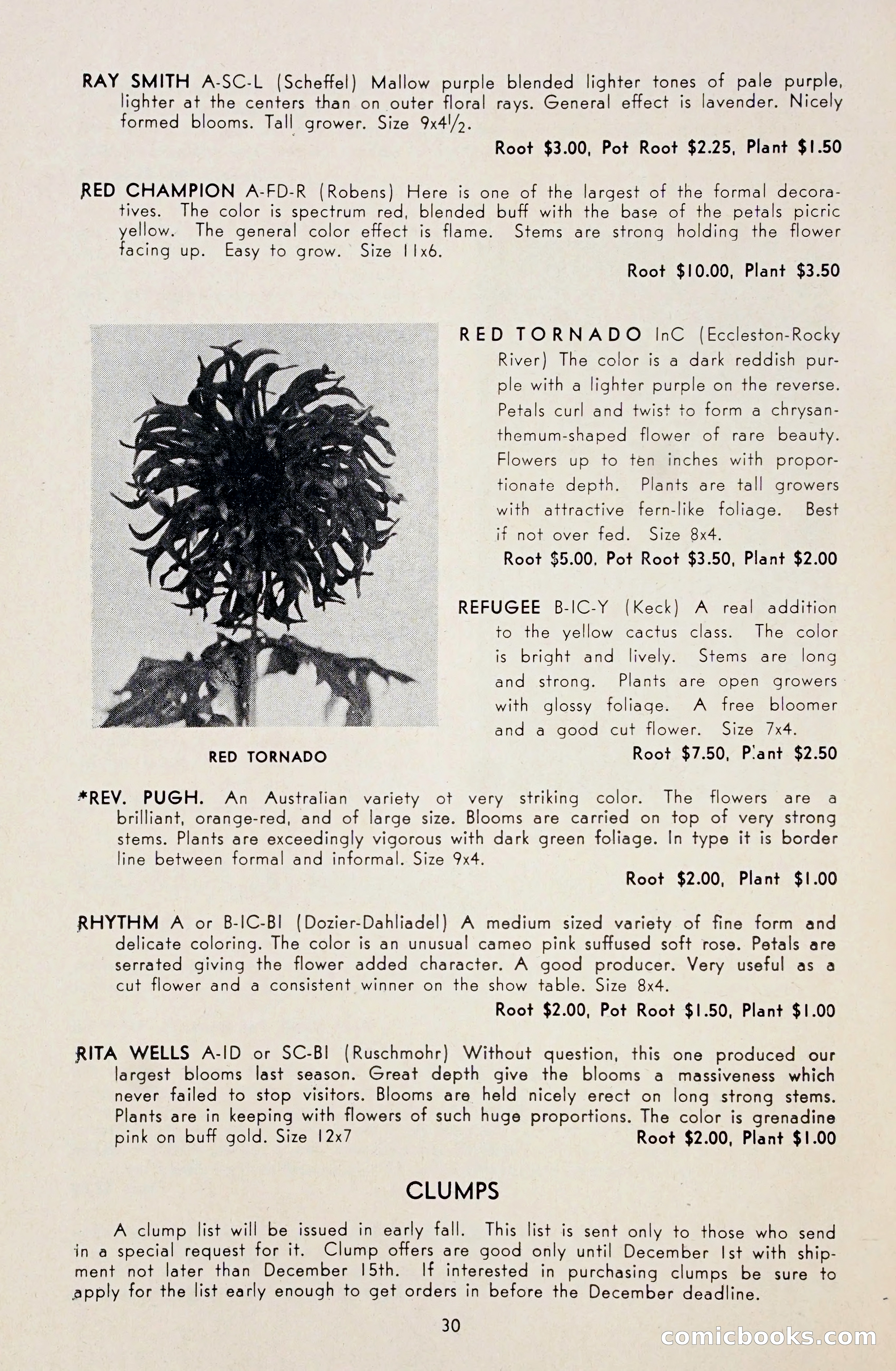 Dahlia Blue Book for 1948 — page 35 of 58