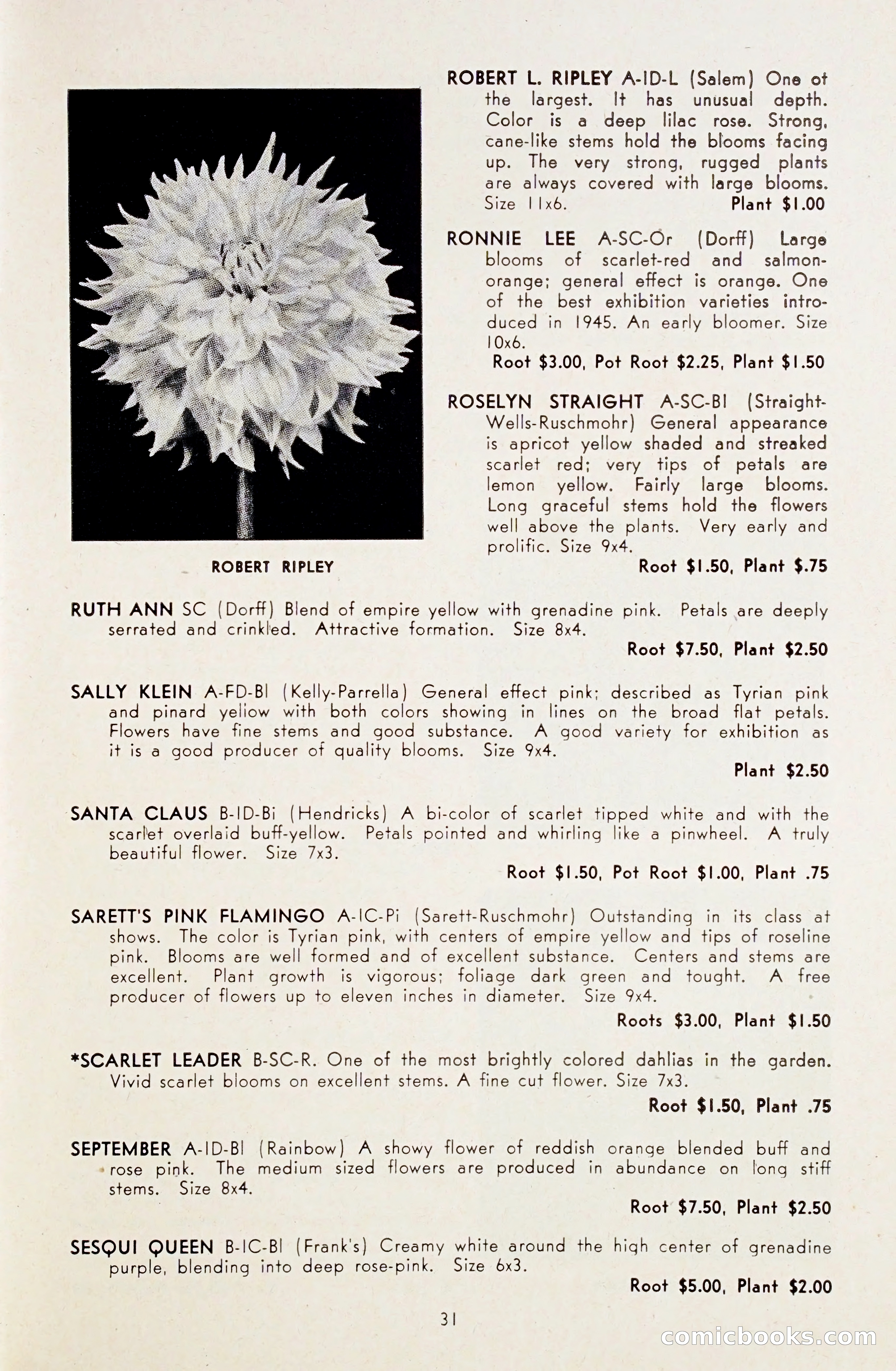 Dahlia Blue Book for 1948 — page 36 of 58