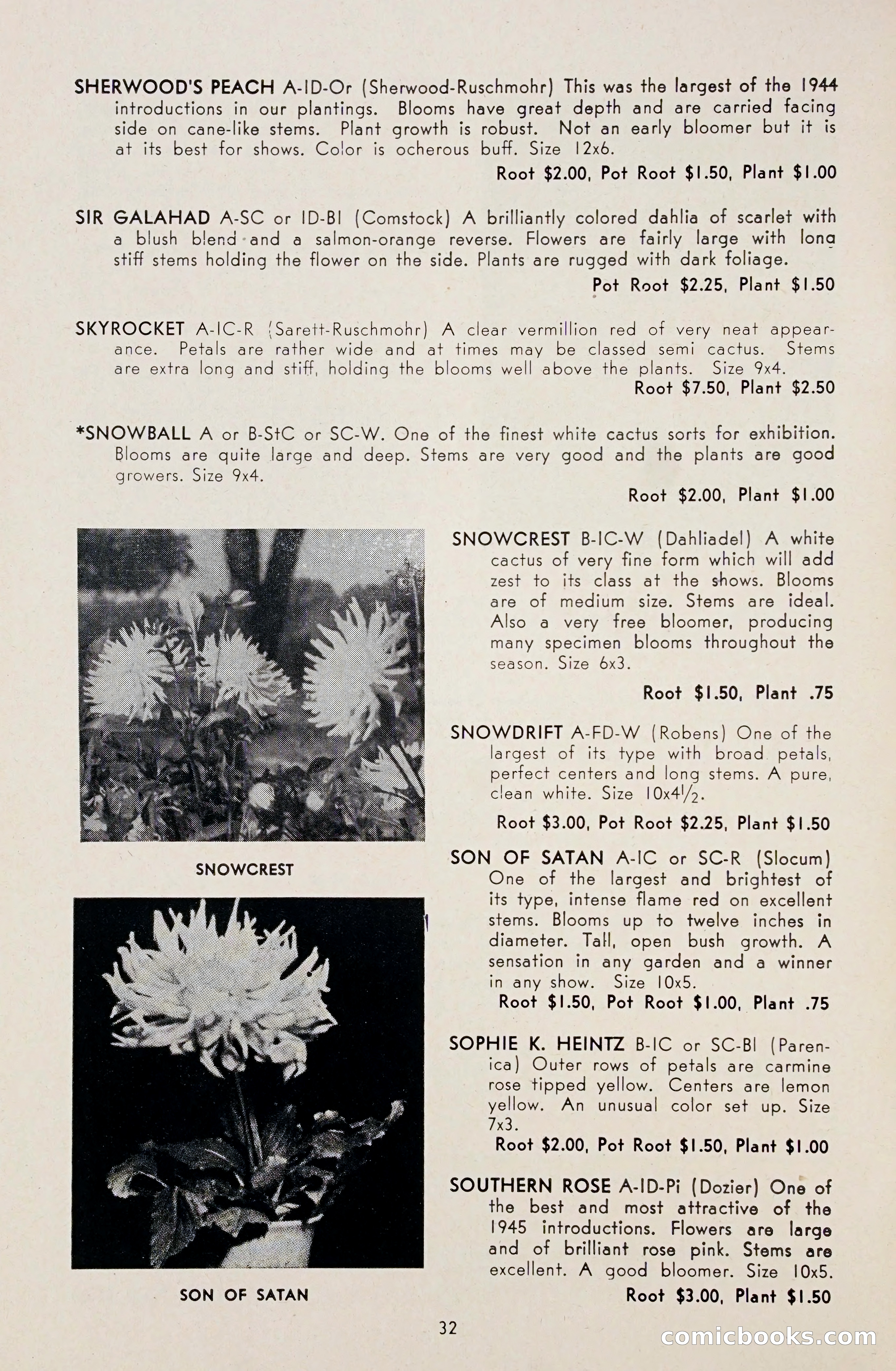 Dahlia Blue Book for 1948 — page 37 of 58
