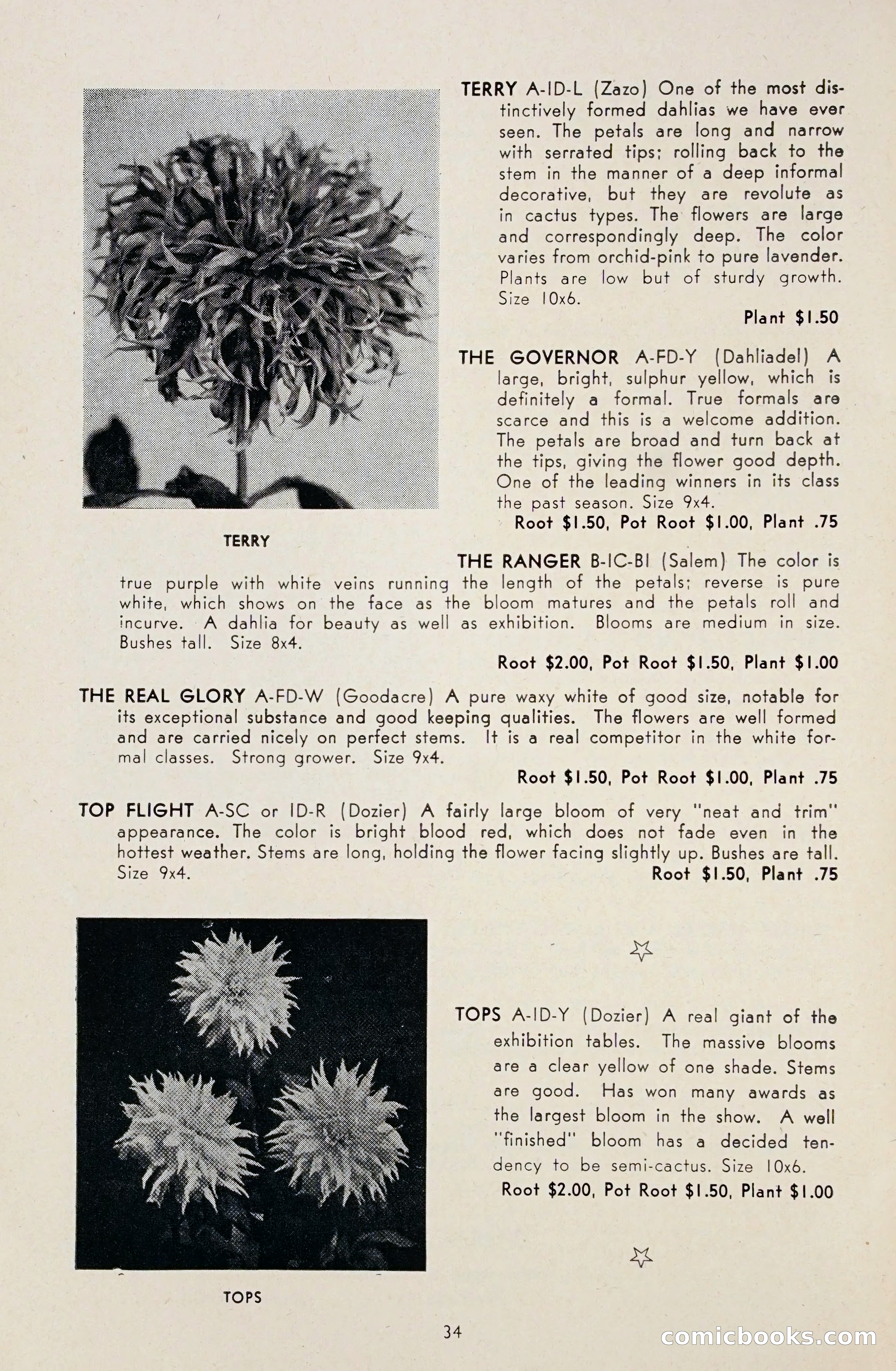 Dahlia Blue Book for 1948 — page 39 of 58