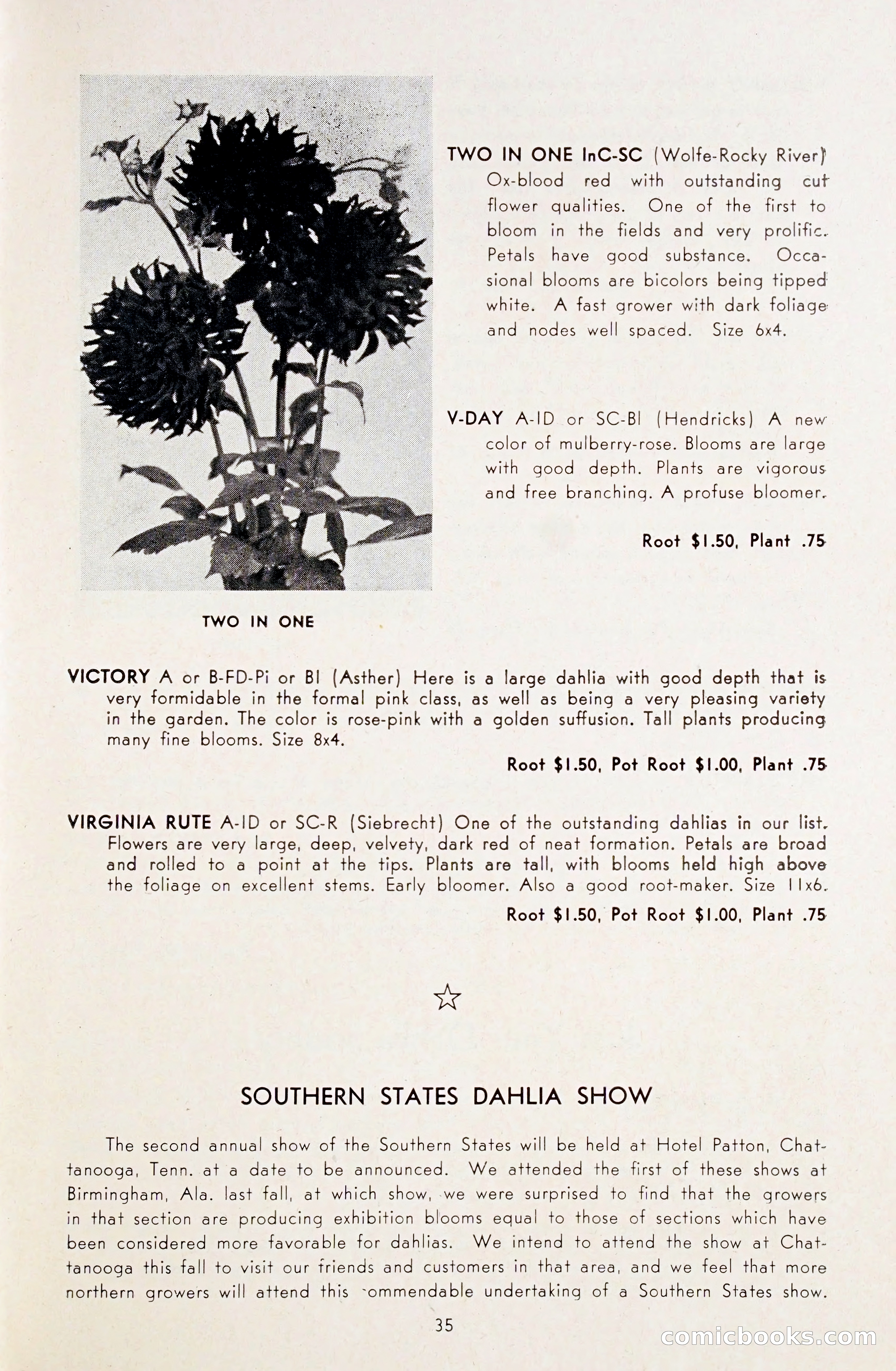 Dahlia Blue Book for 1948 — page 40 of 58