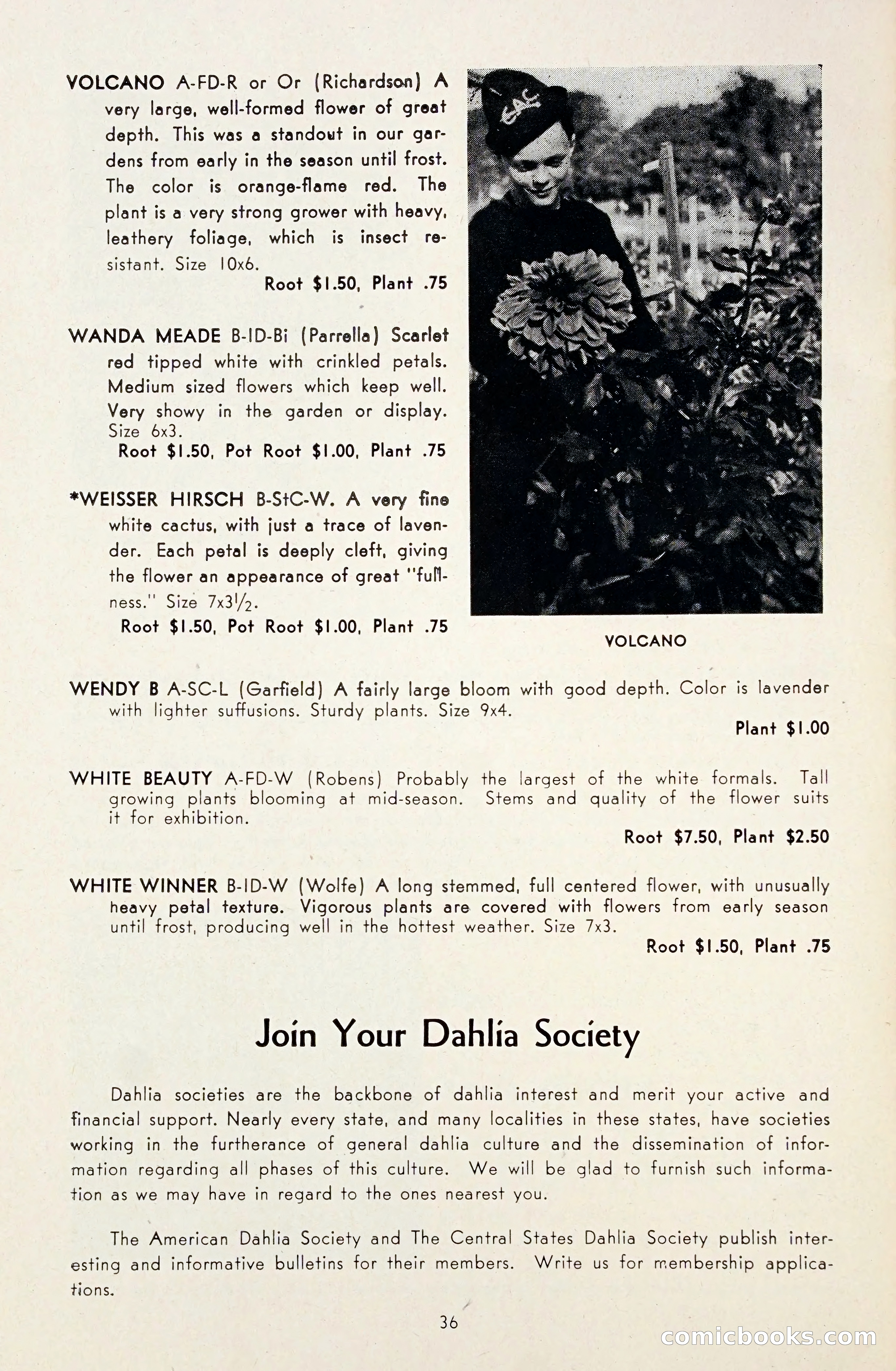 Dahlia Blue Book for 1948 — page 41 of 58