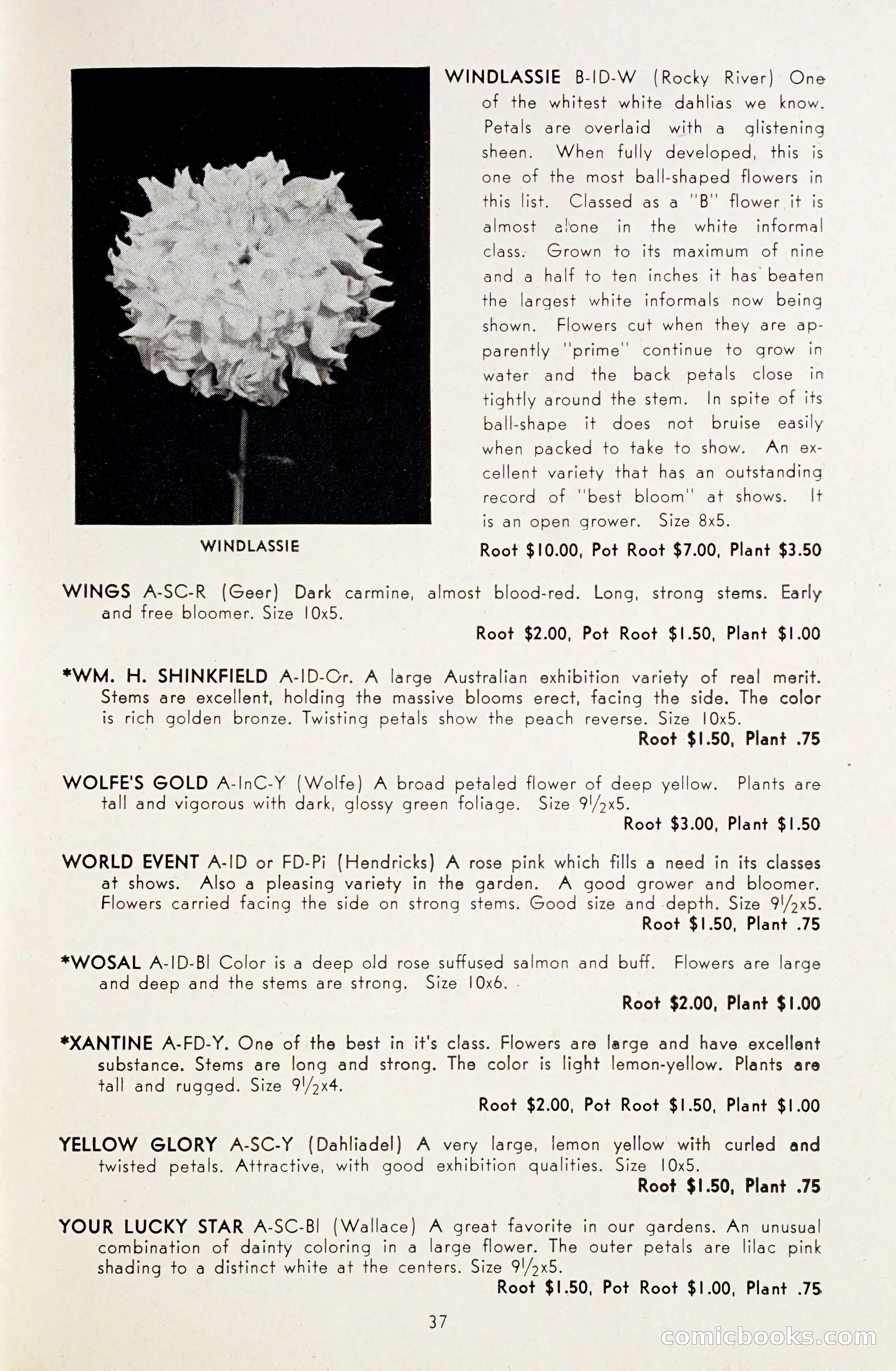 Dahlia Blue Book for 1948 — page 42 of 58