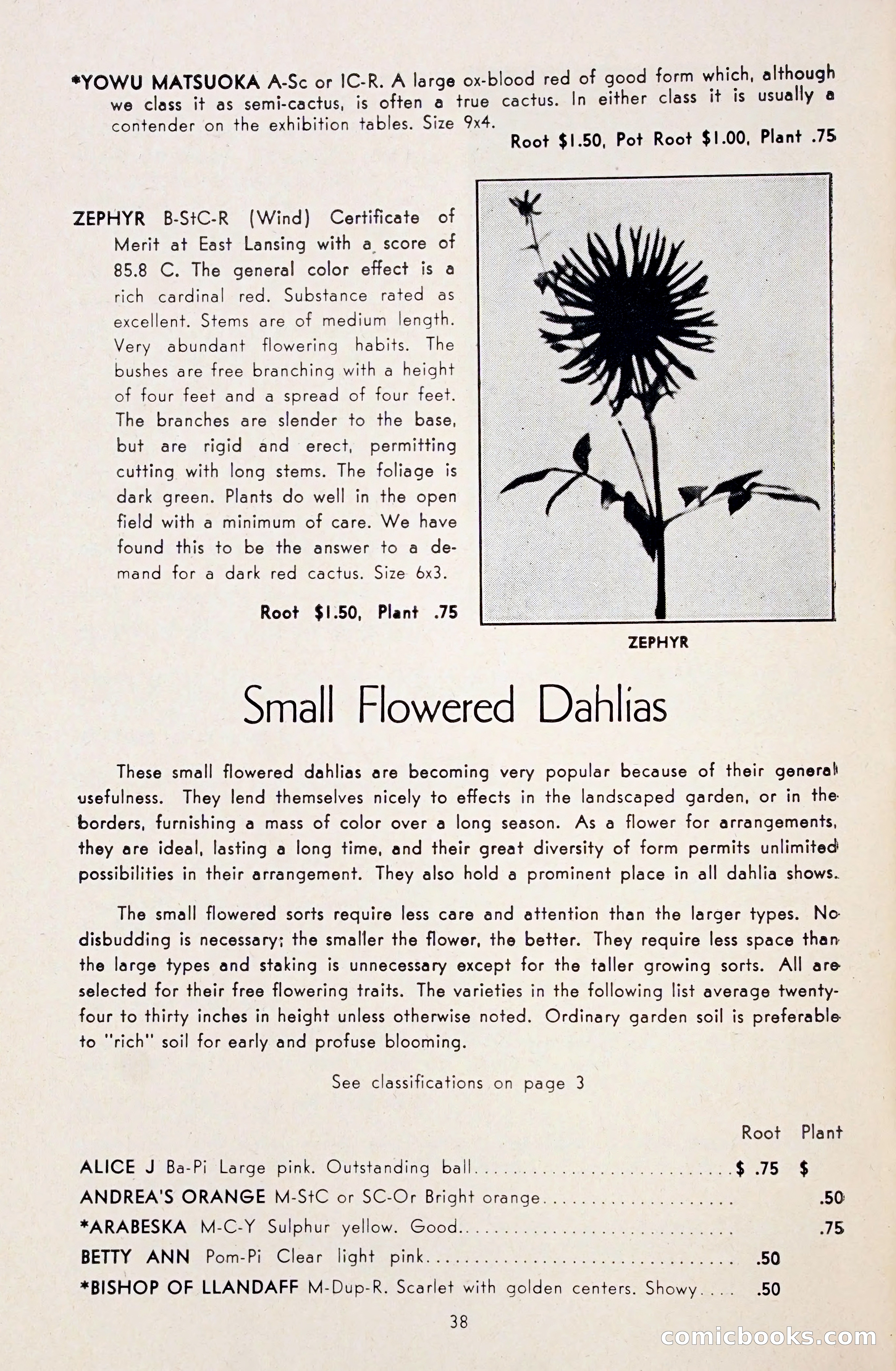 Dahlia Blue Book for 1948 — page 43 of 58