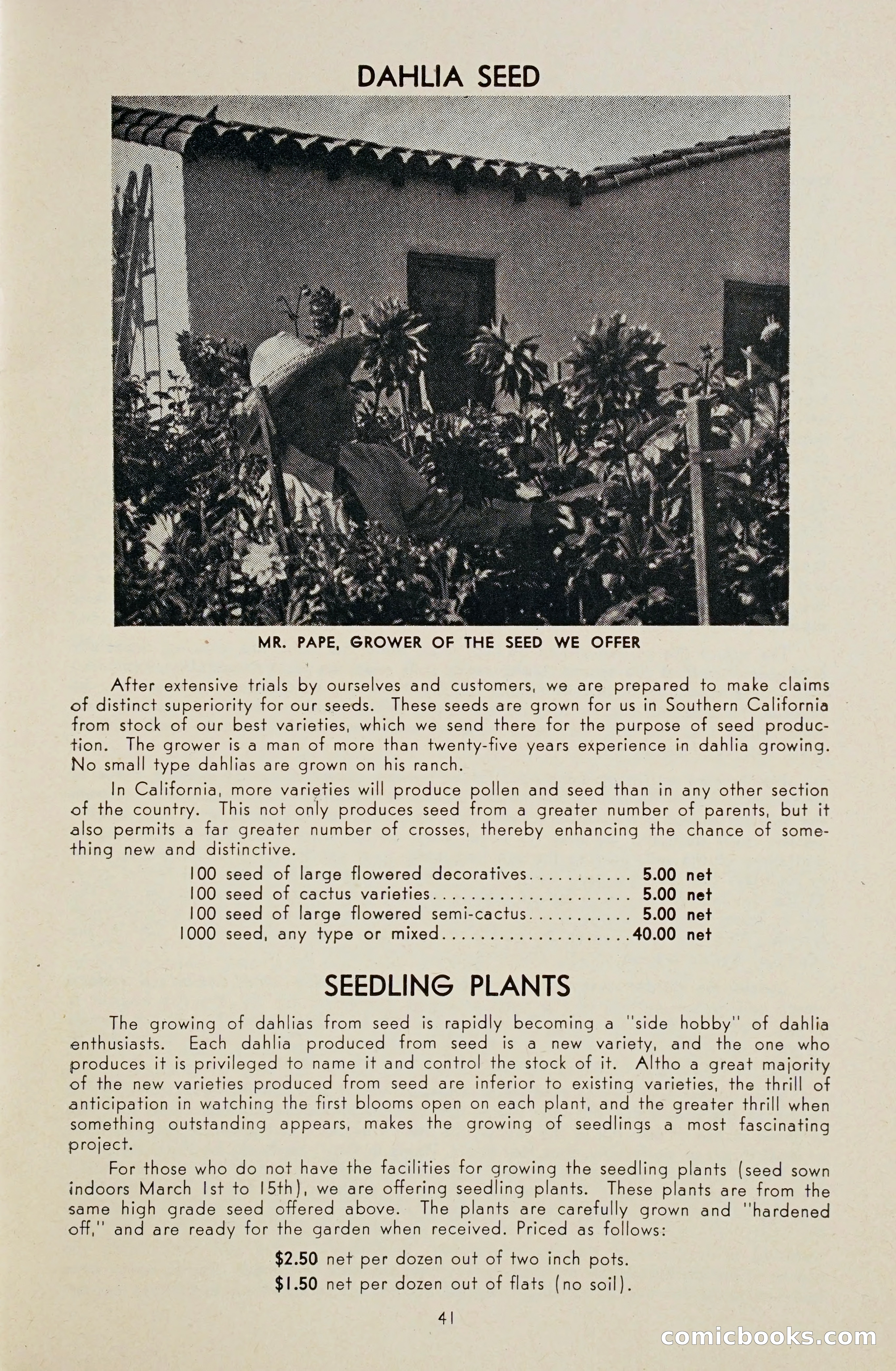 Dahlia Blue Book for 1948 — page 46 of 58