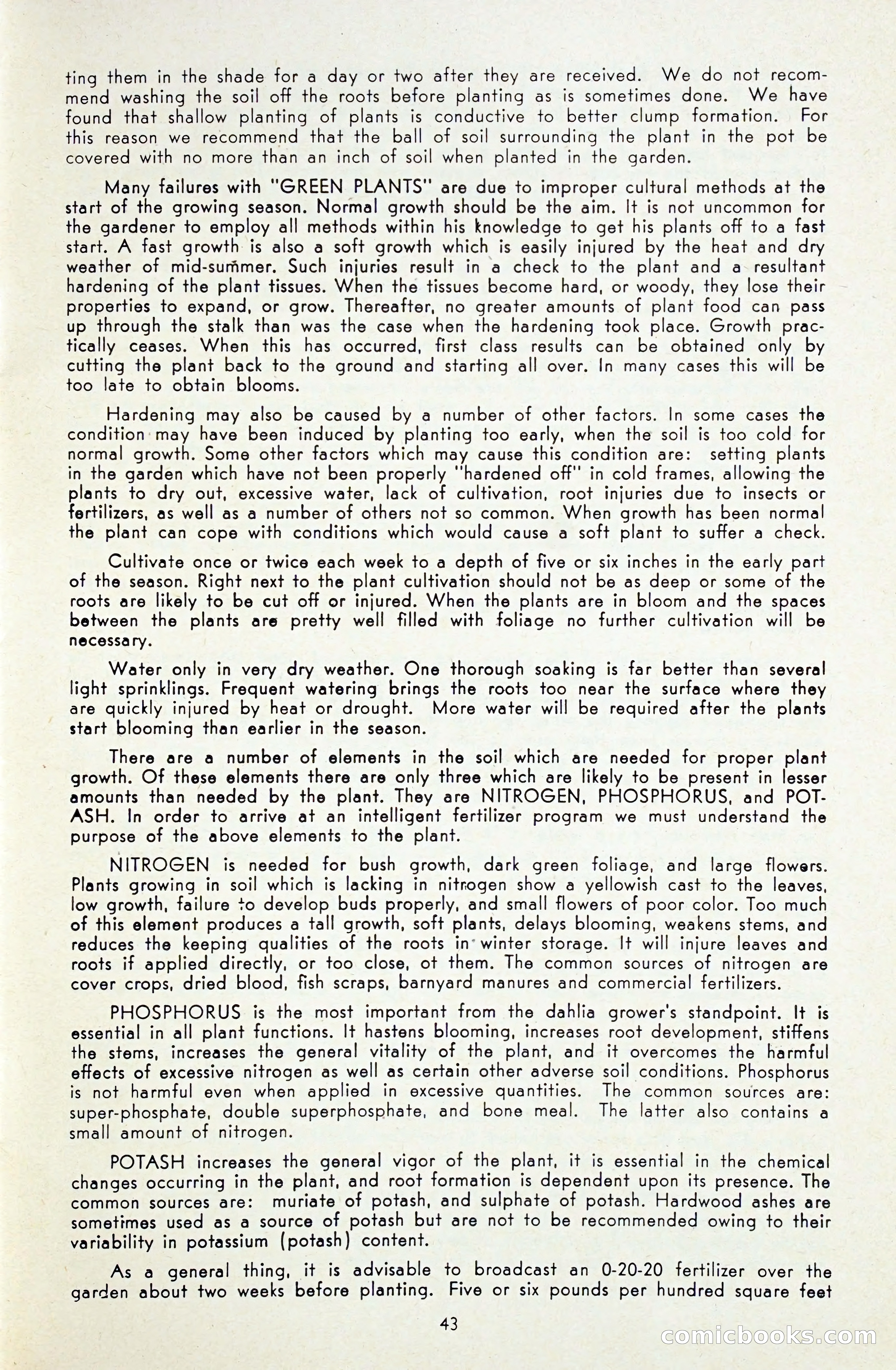 Dahlia Blue Book for 1948 — page 48 of 58