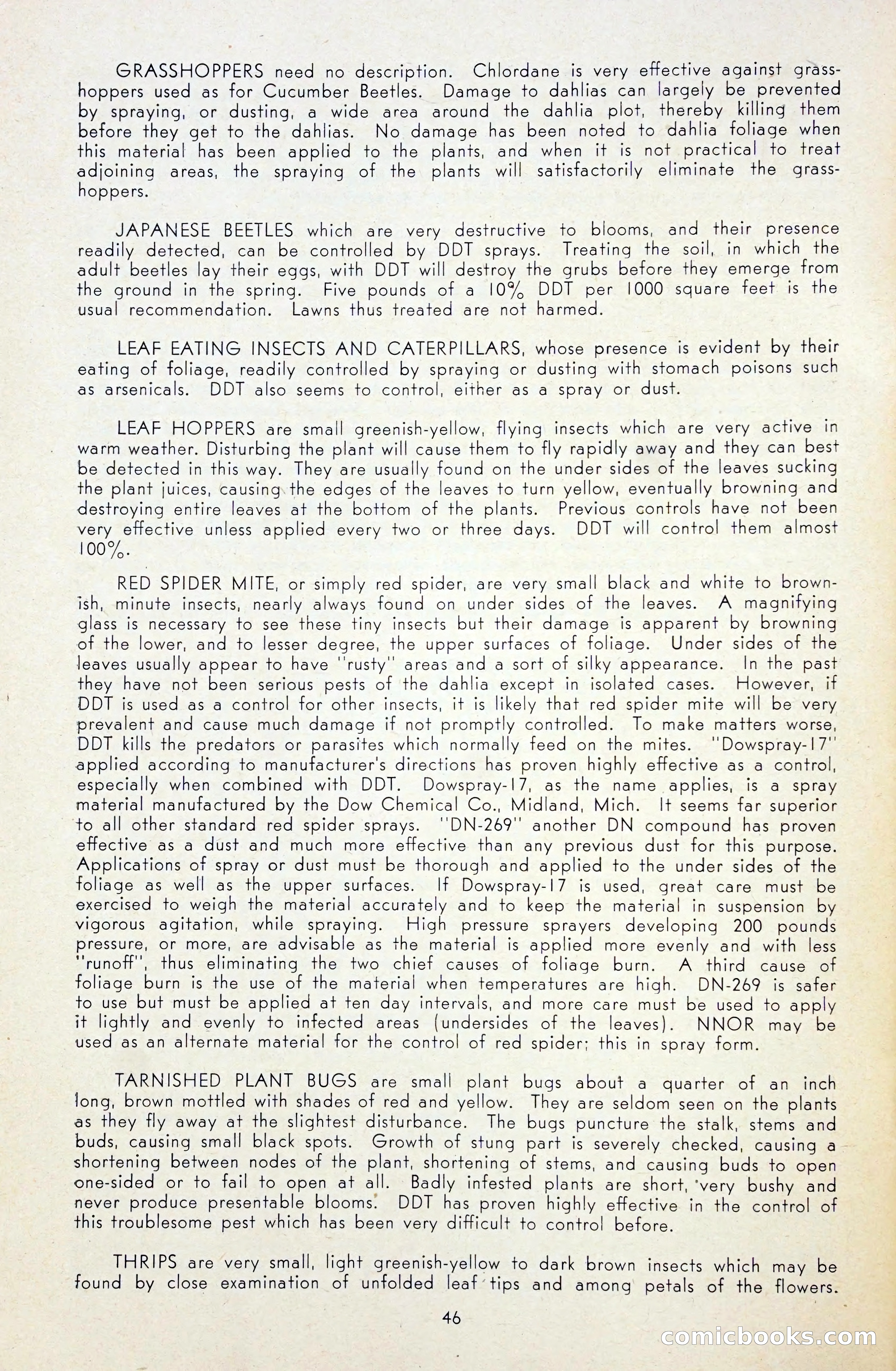 Dahlia Blue Book for 1948 — page 51 of 58