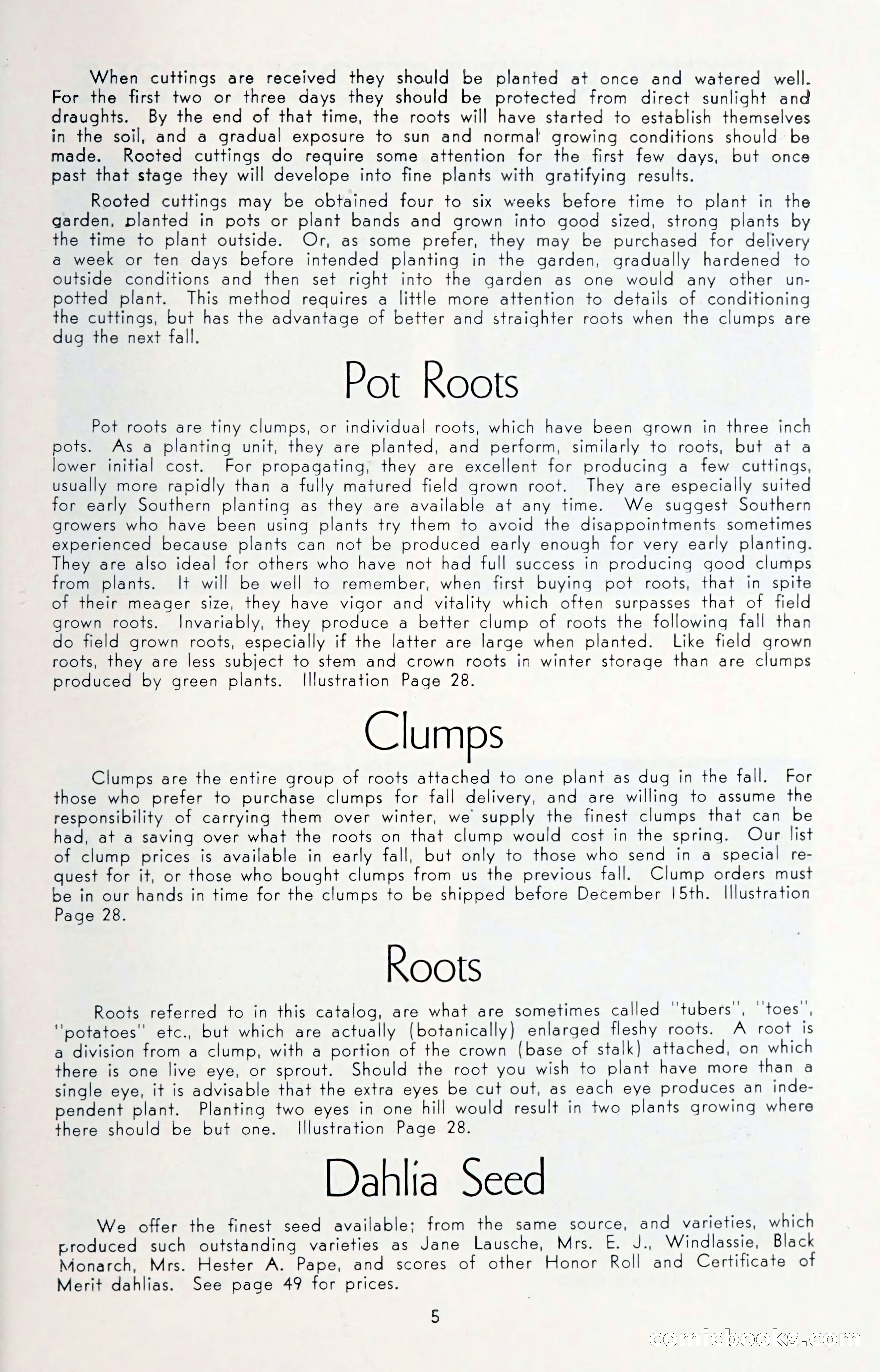 Dahlia Blue Book for 1950 — page 9 of 64