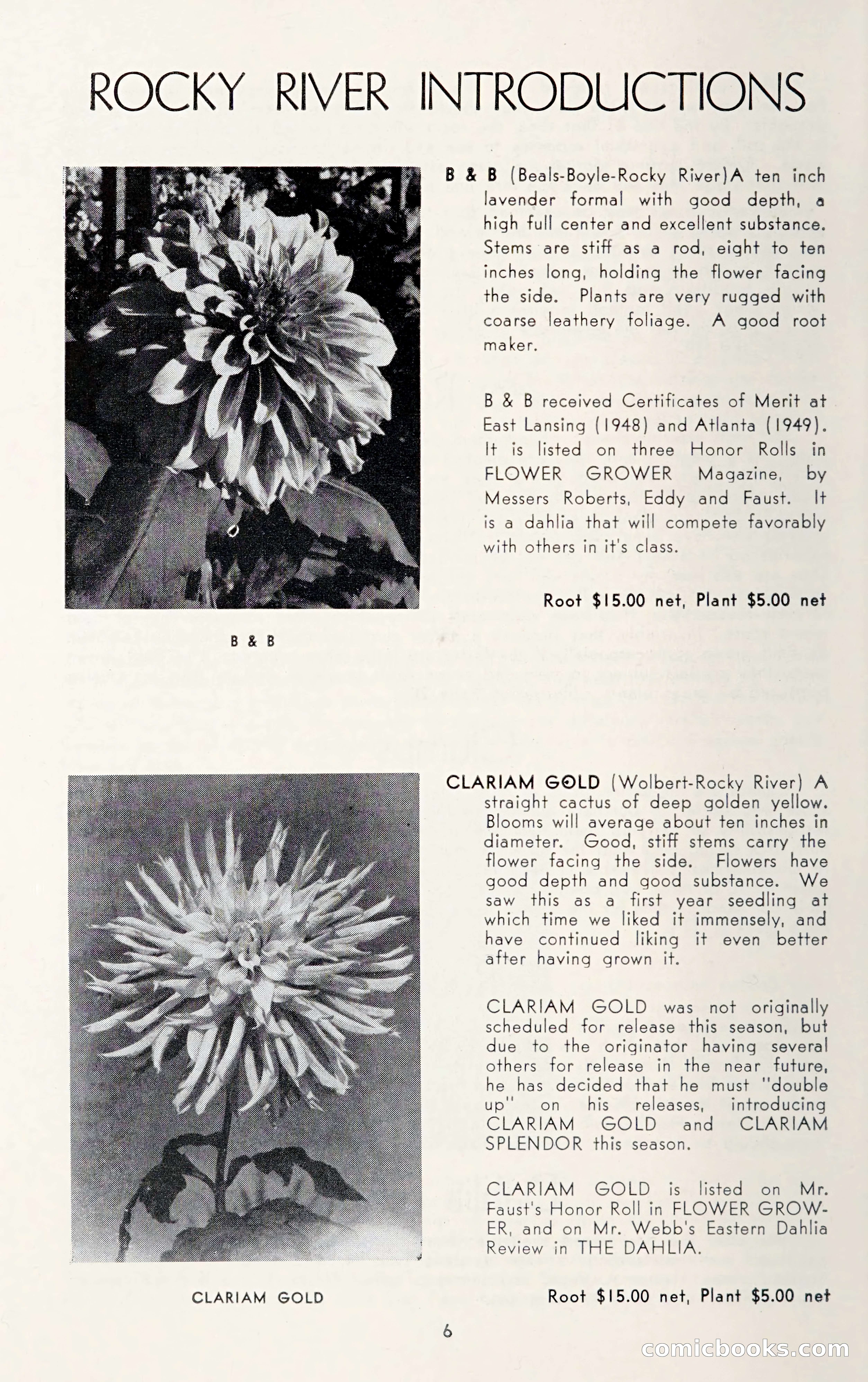 Dahlia Blue Book for 1950 — page 10 of 64
