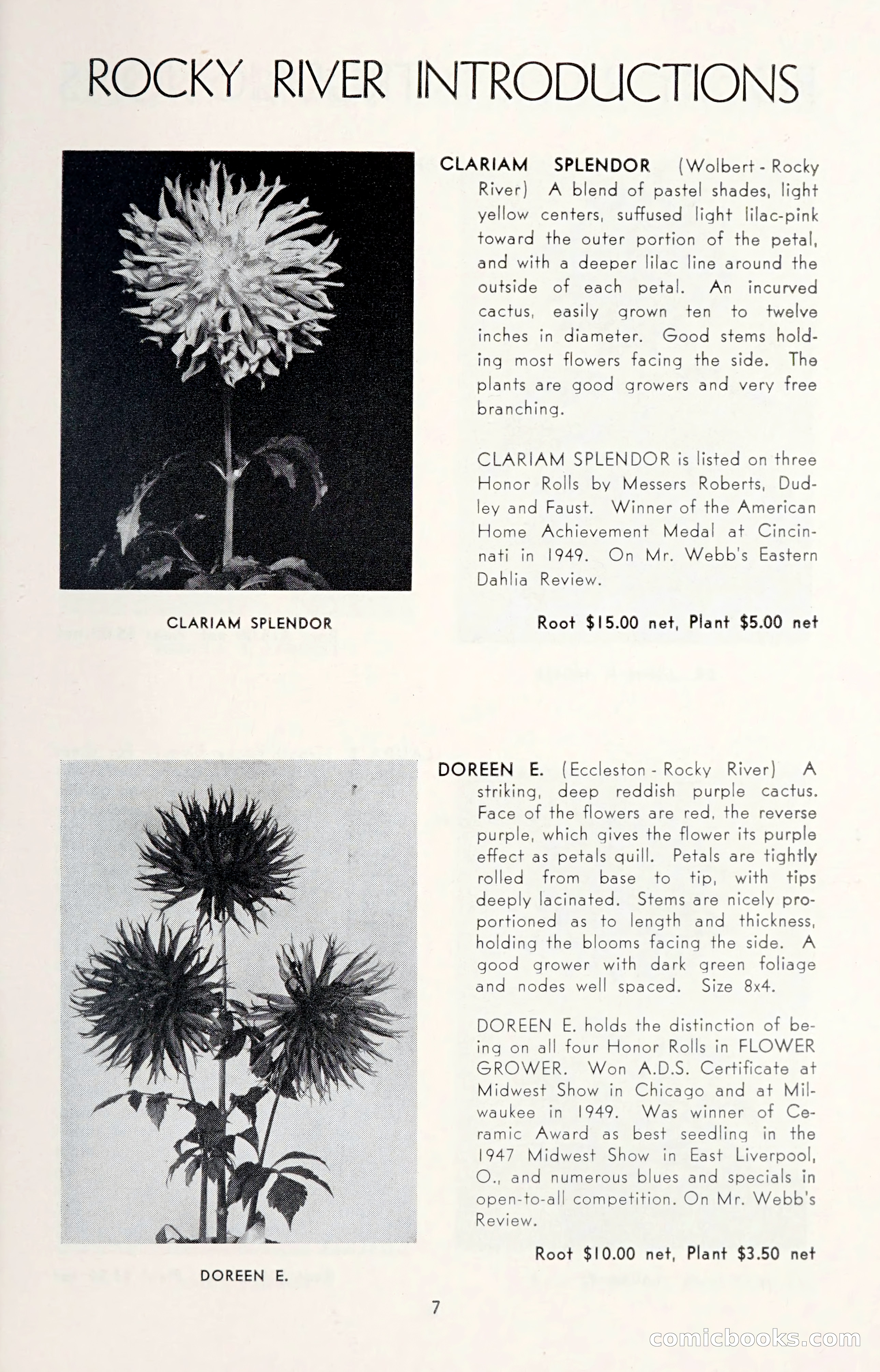 Dahlia Blue Book for 1950 — page 11 of 64
