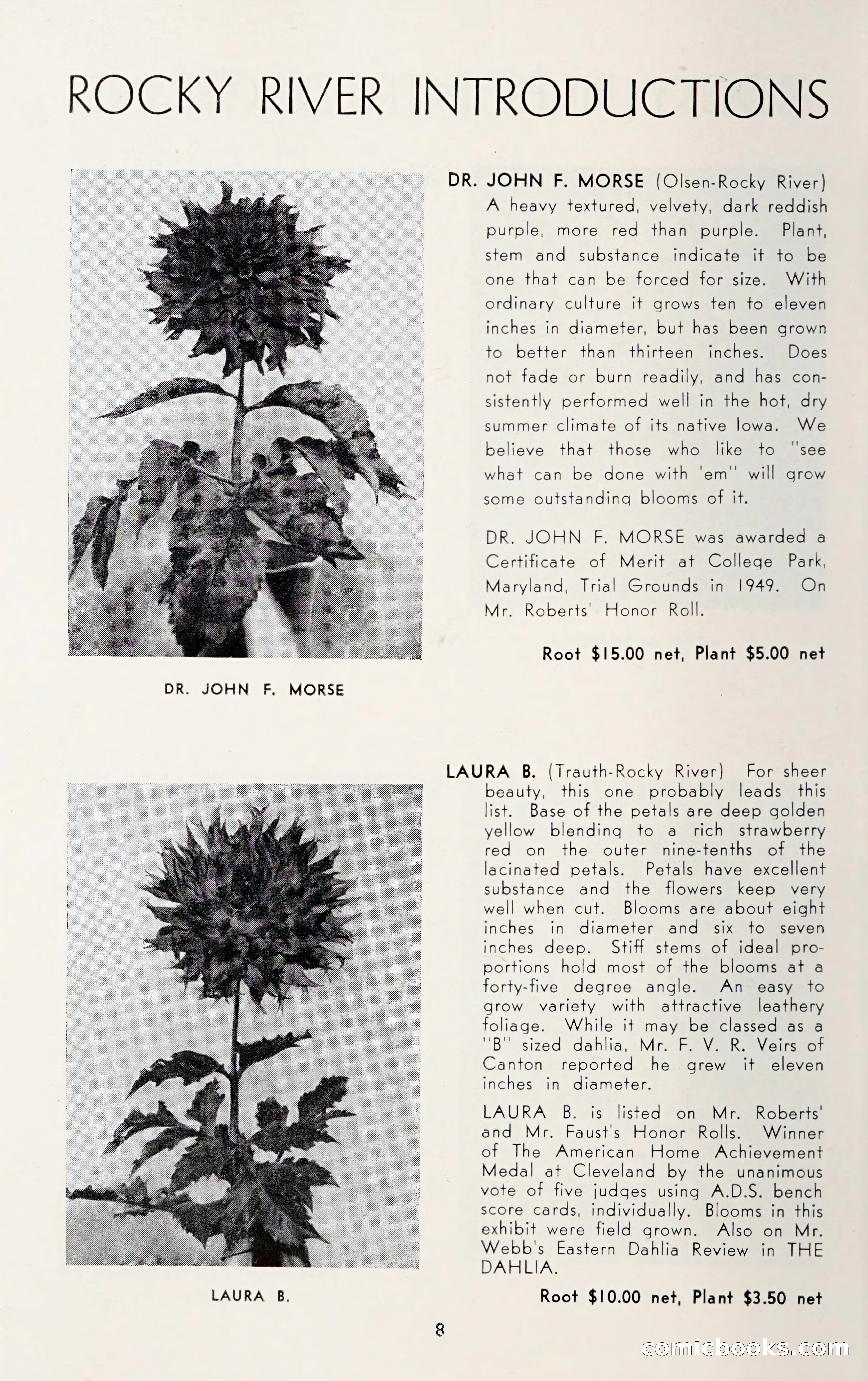 Dahlia Blue Book for 1950 — page 12 of 64