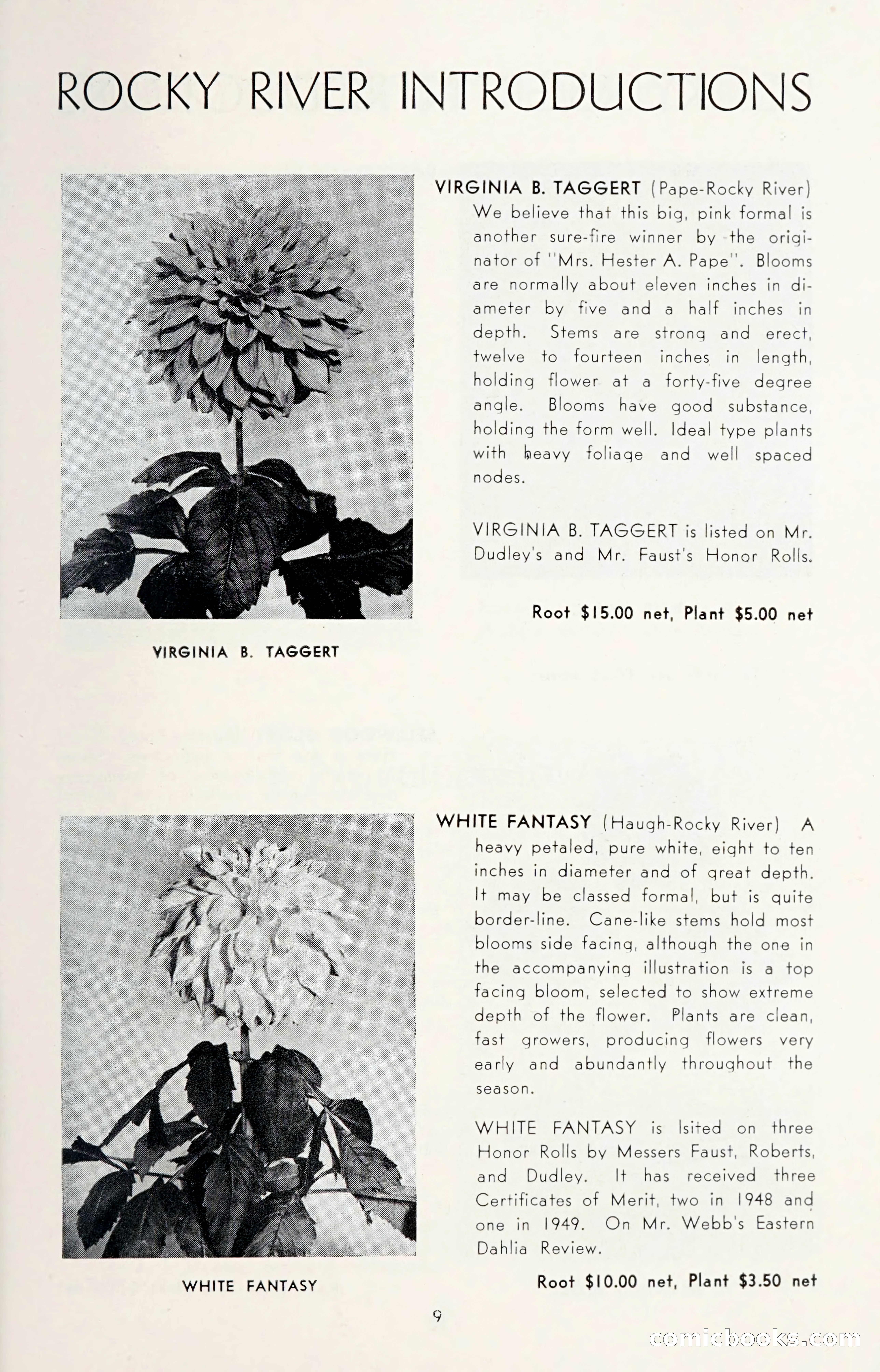 Dahlia Blue Book for 1950 — page 13 of 64
