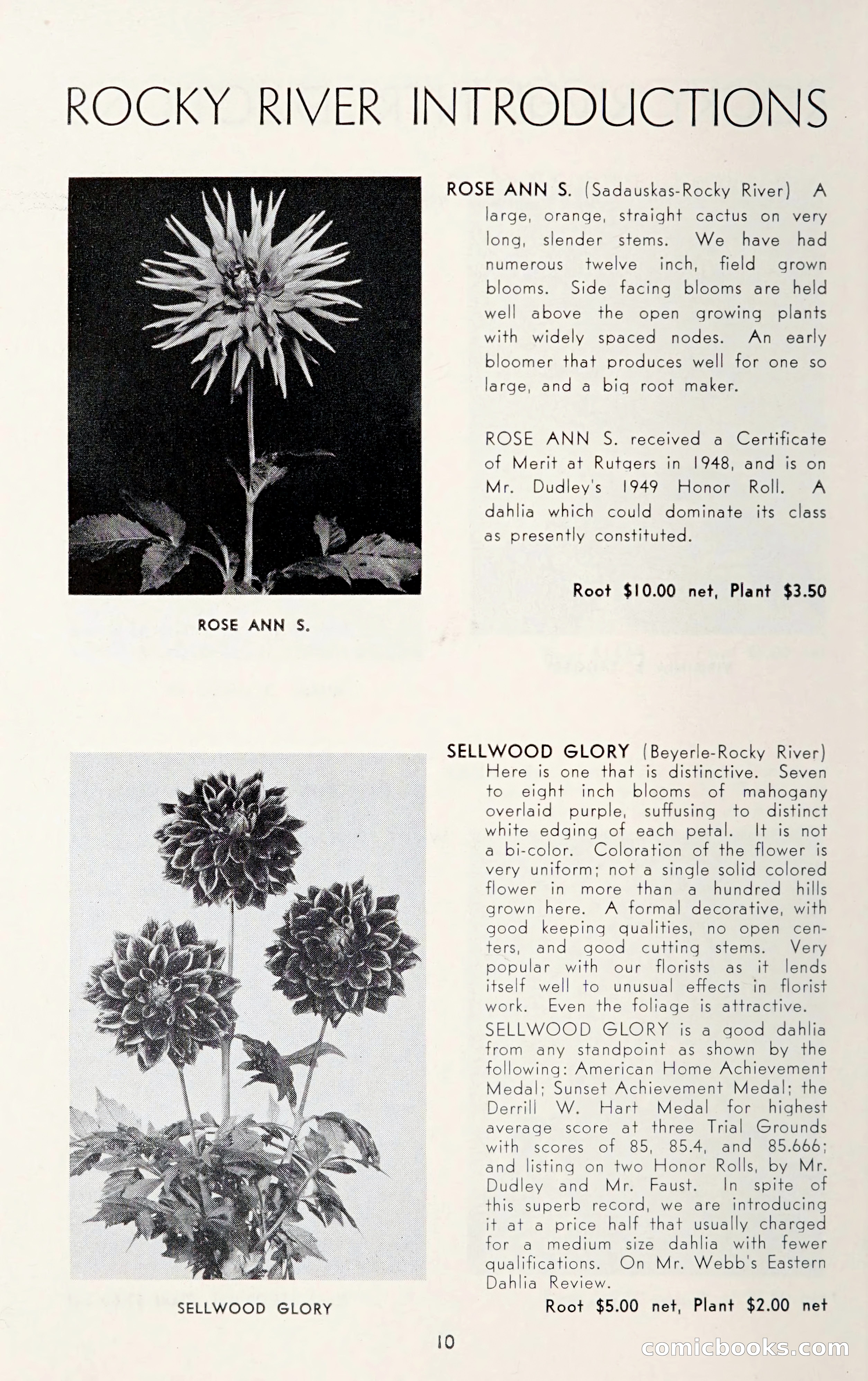 Dahlia Blue Book for 1950 — page 14 of 64