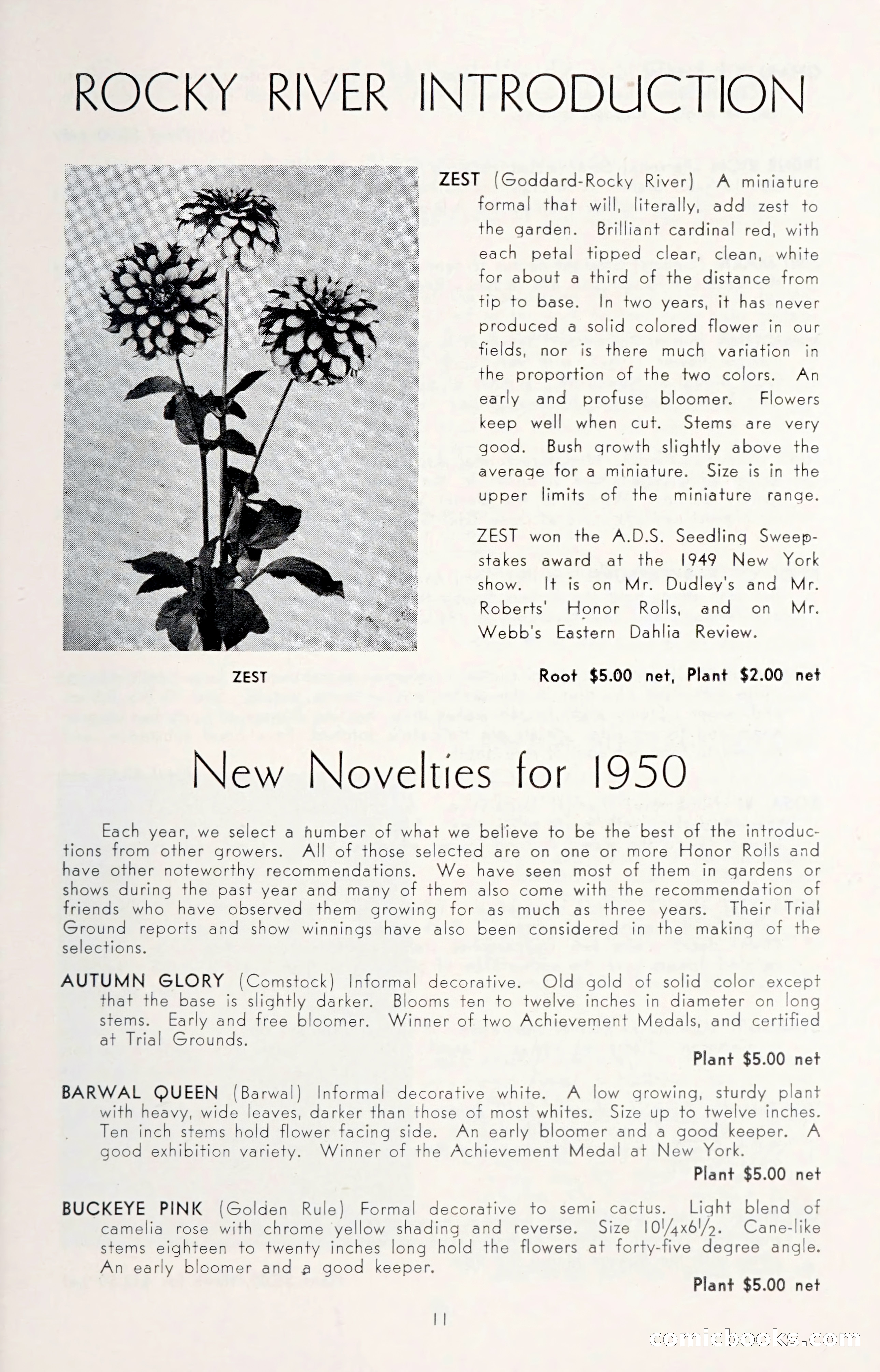 Dahlia Blue Book for 1950 — page 15 of 64