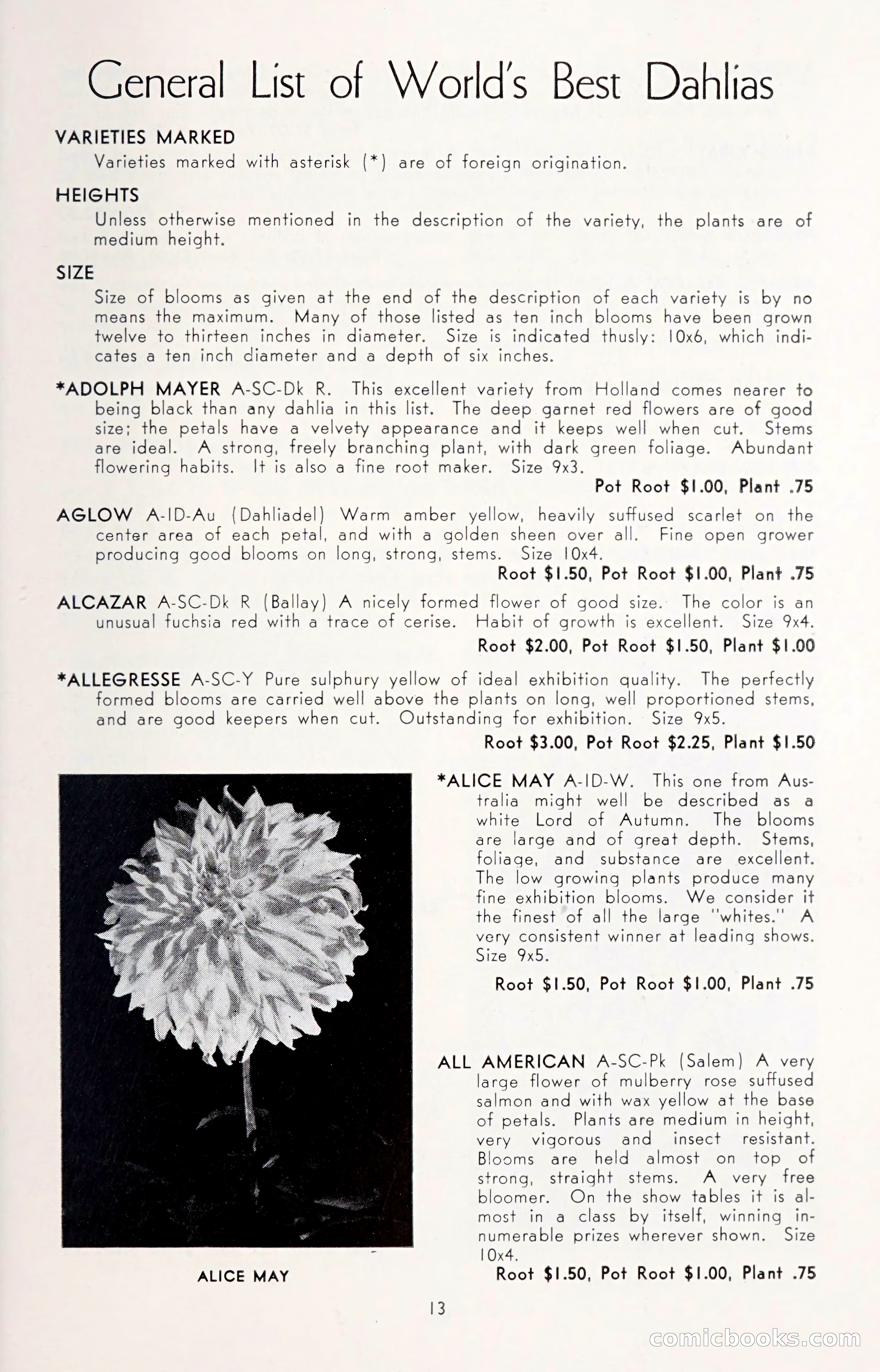 Dahlia Blue Book for 1950 — page 17 of 64