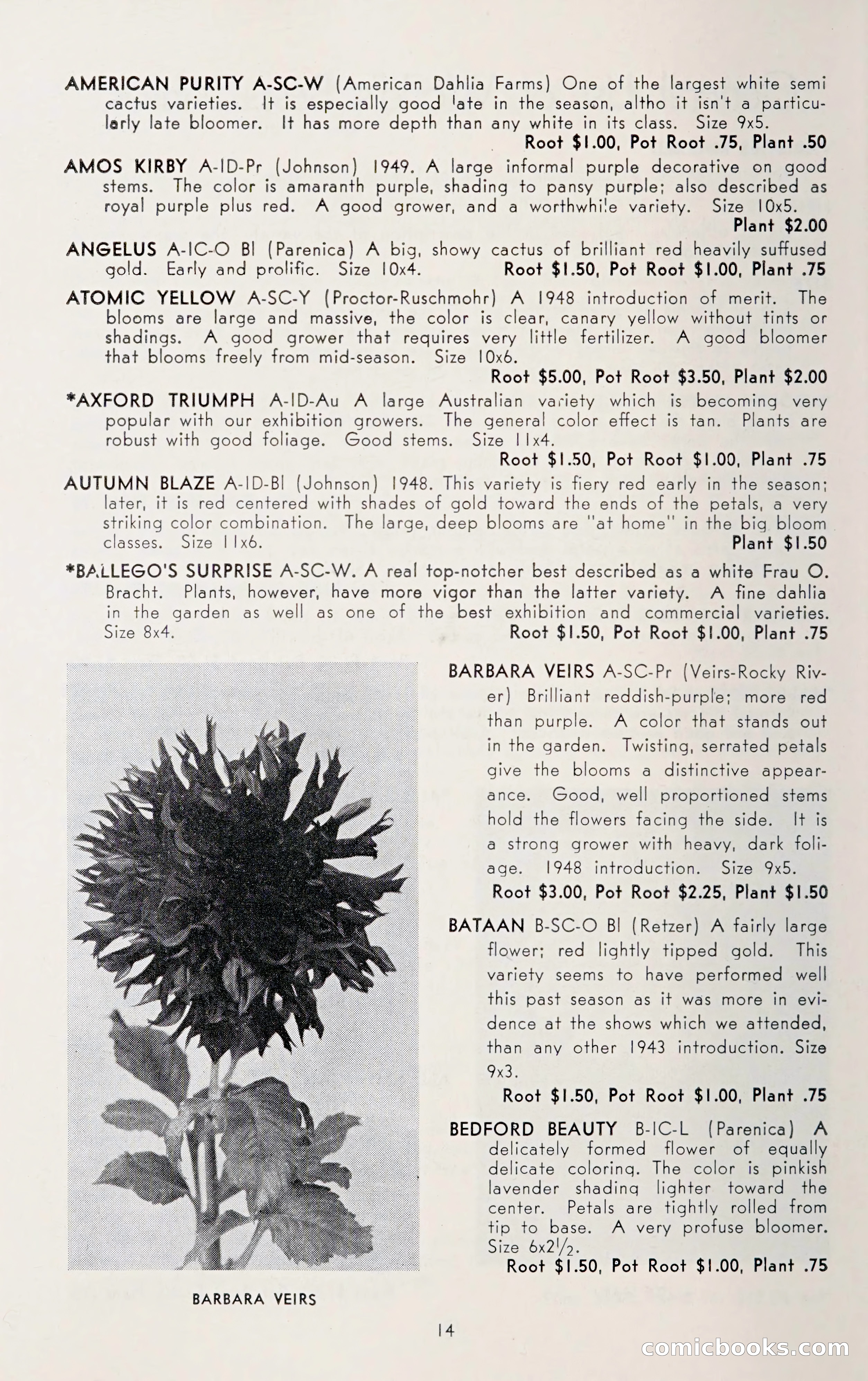 Dahlia Blue Book for 1950 — page 18 of 64