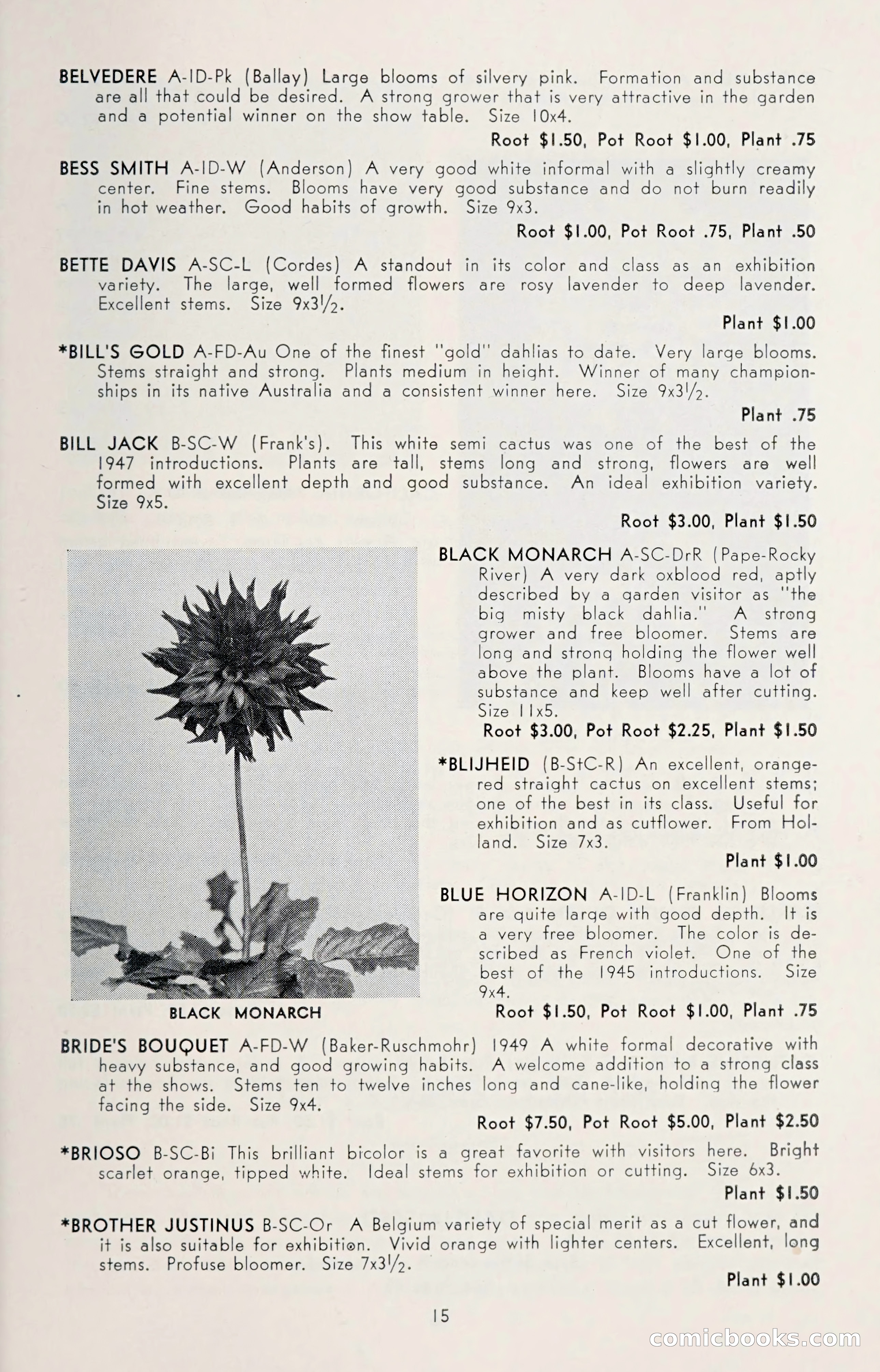 Dahlia Blue Book for 1950 — page 19 of 64