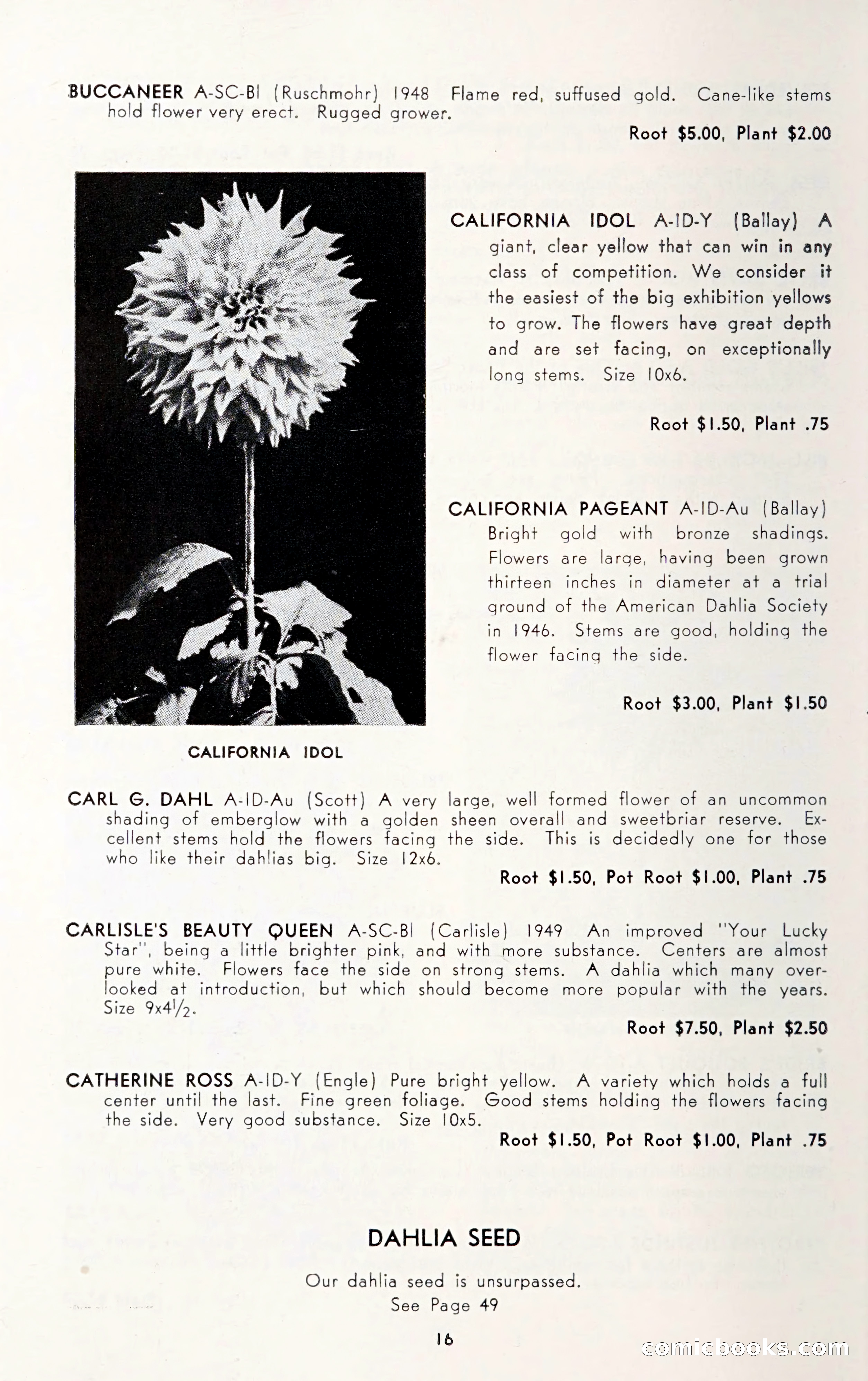 Dahlia Blue Book for 1950 — page 20 of 64