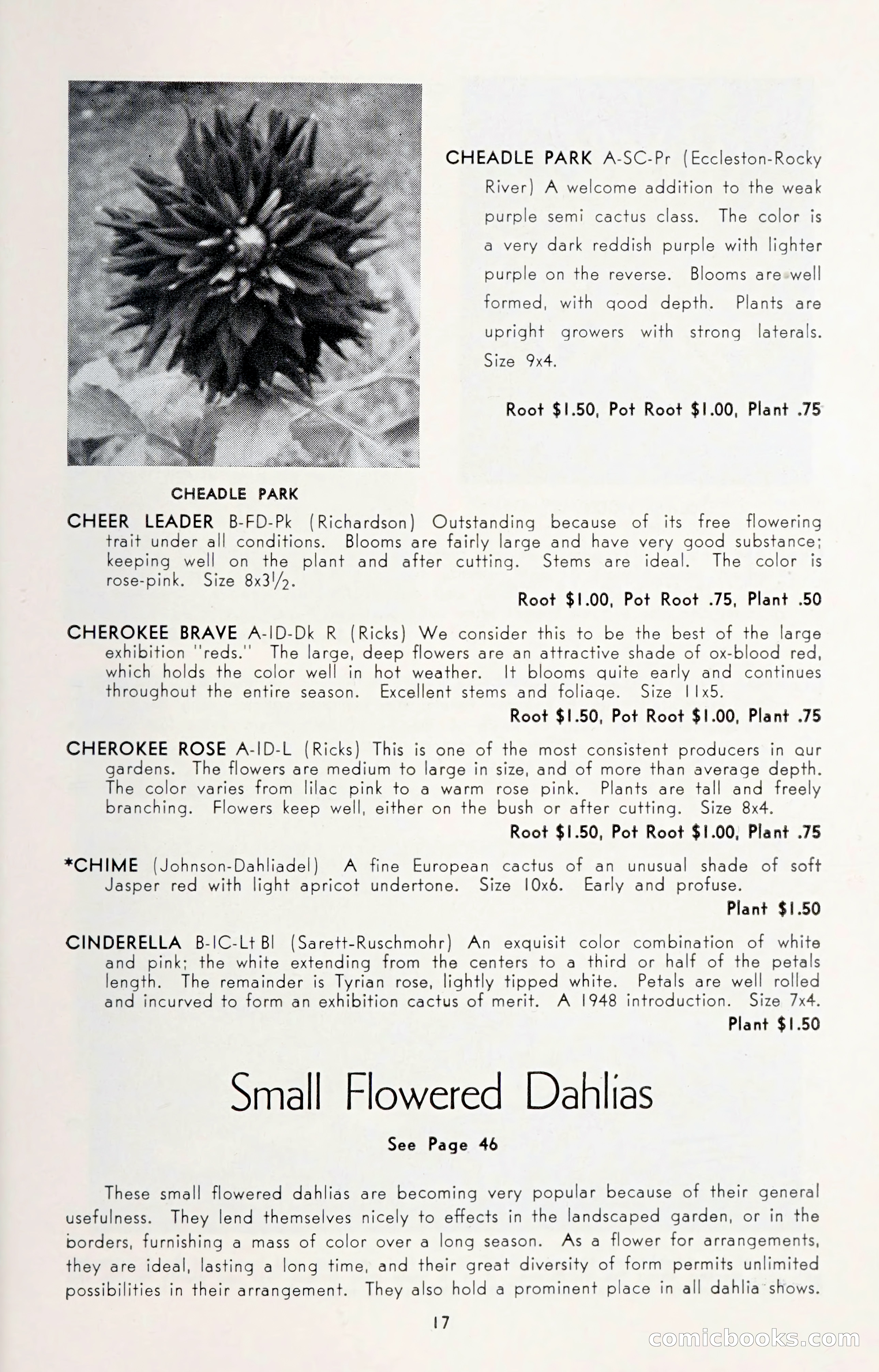 Dahlia Blue Book for 1950 — page 21 of 64