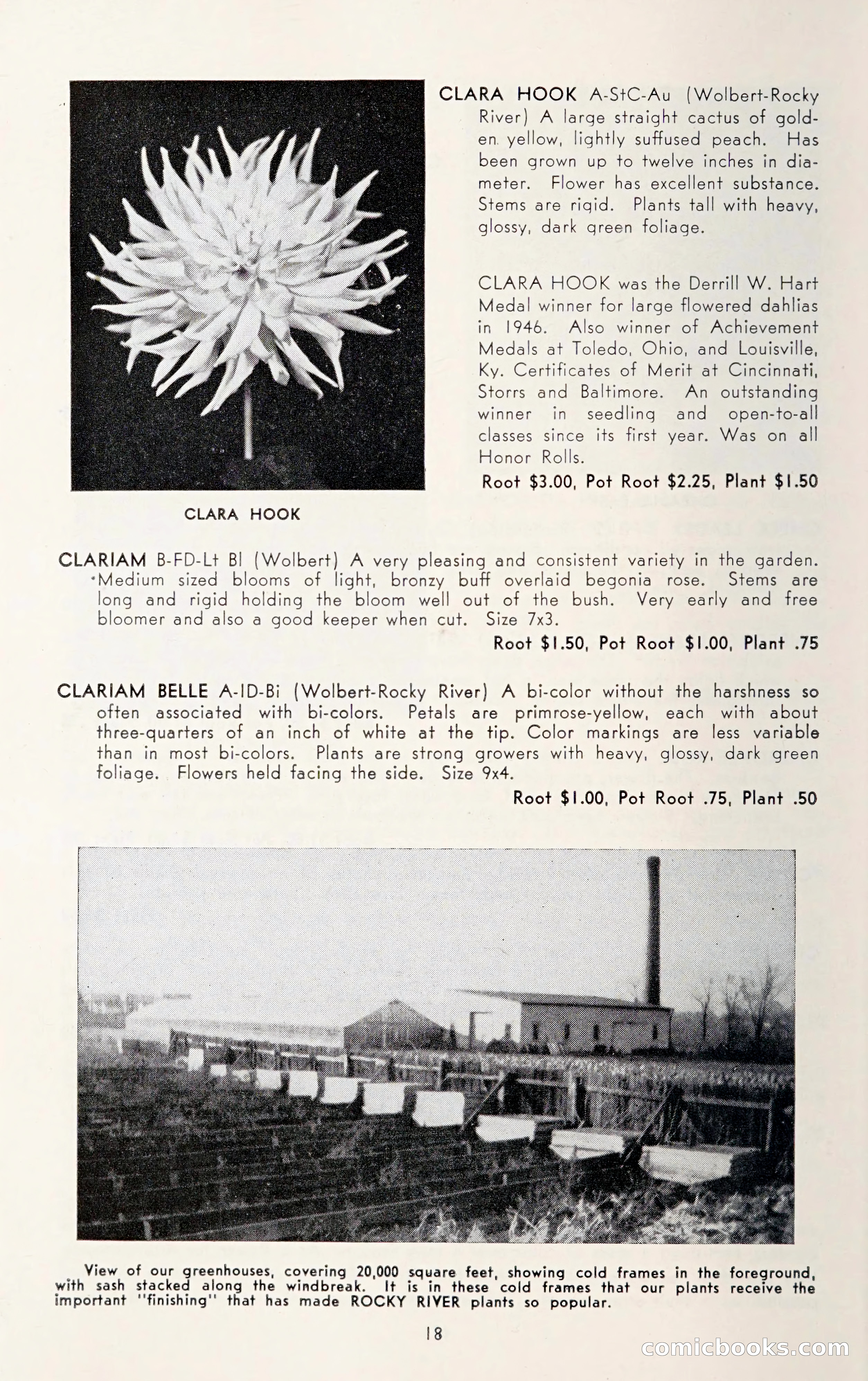 Dahlia Blue Book for 1950 — page 22 of 64