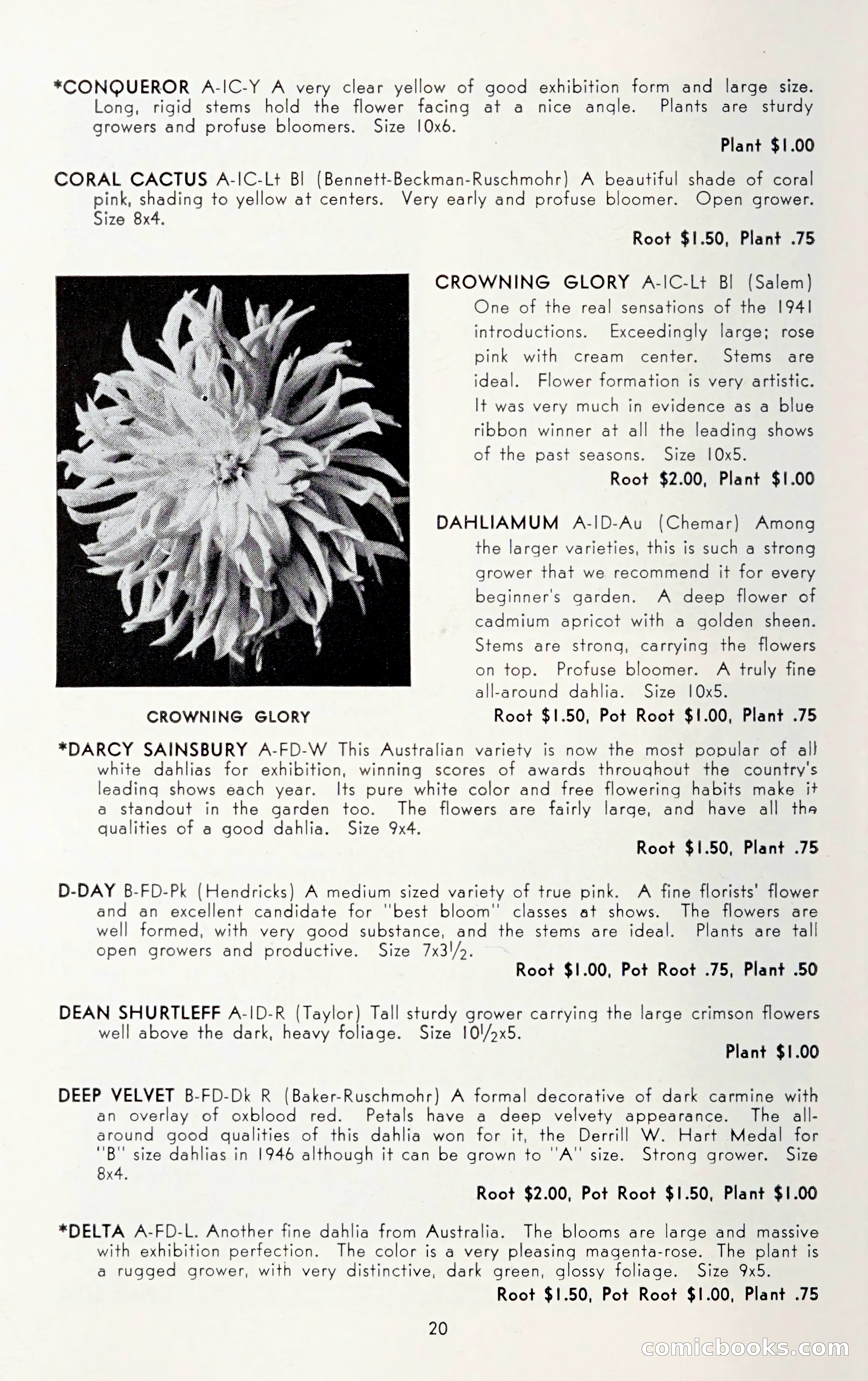 Dahlia Blue Book for 1950 — page 24 of 64