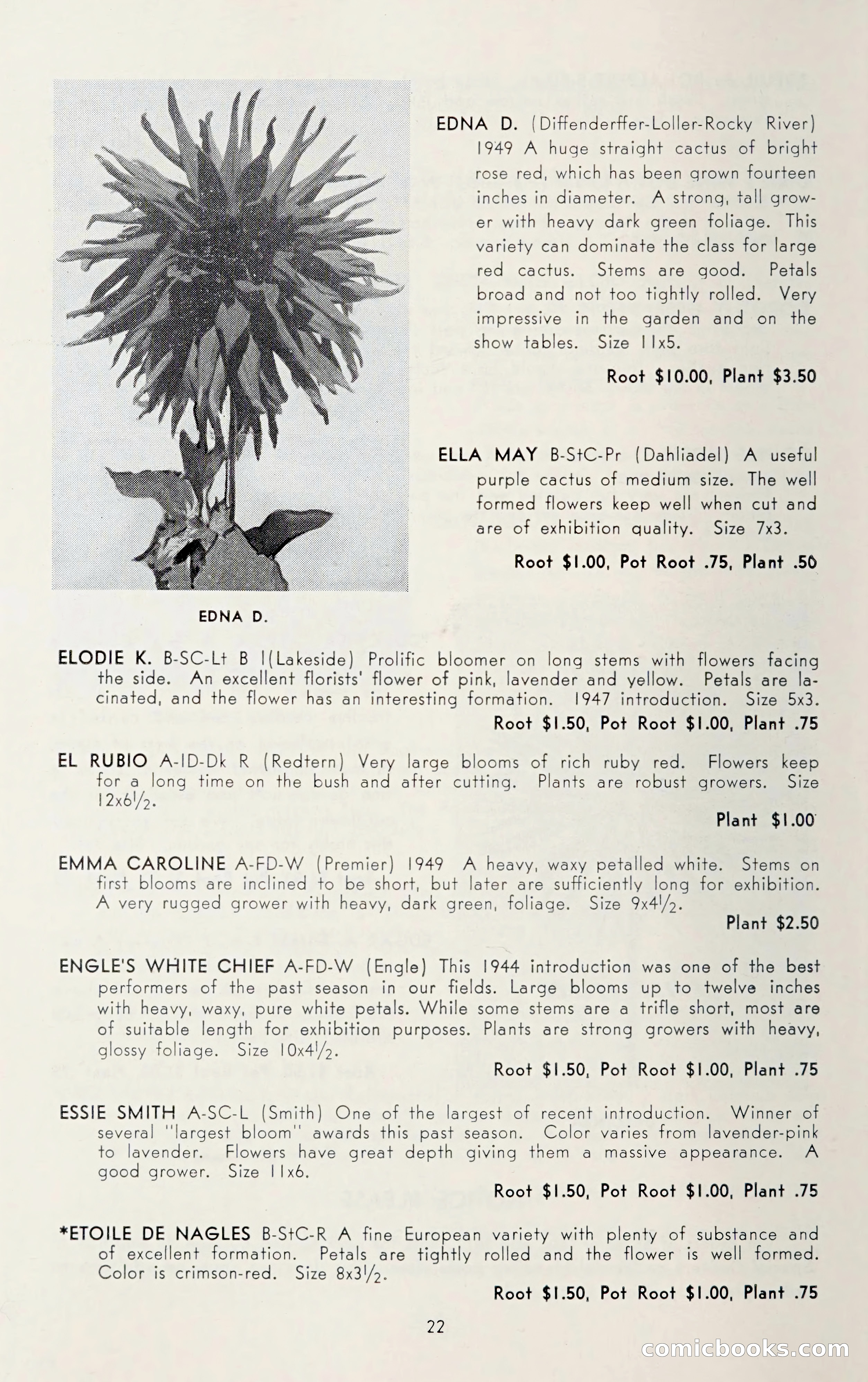 Dahlia Blue Book for 1950 — page 26 of 64
