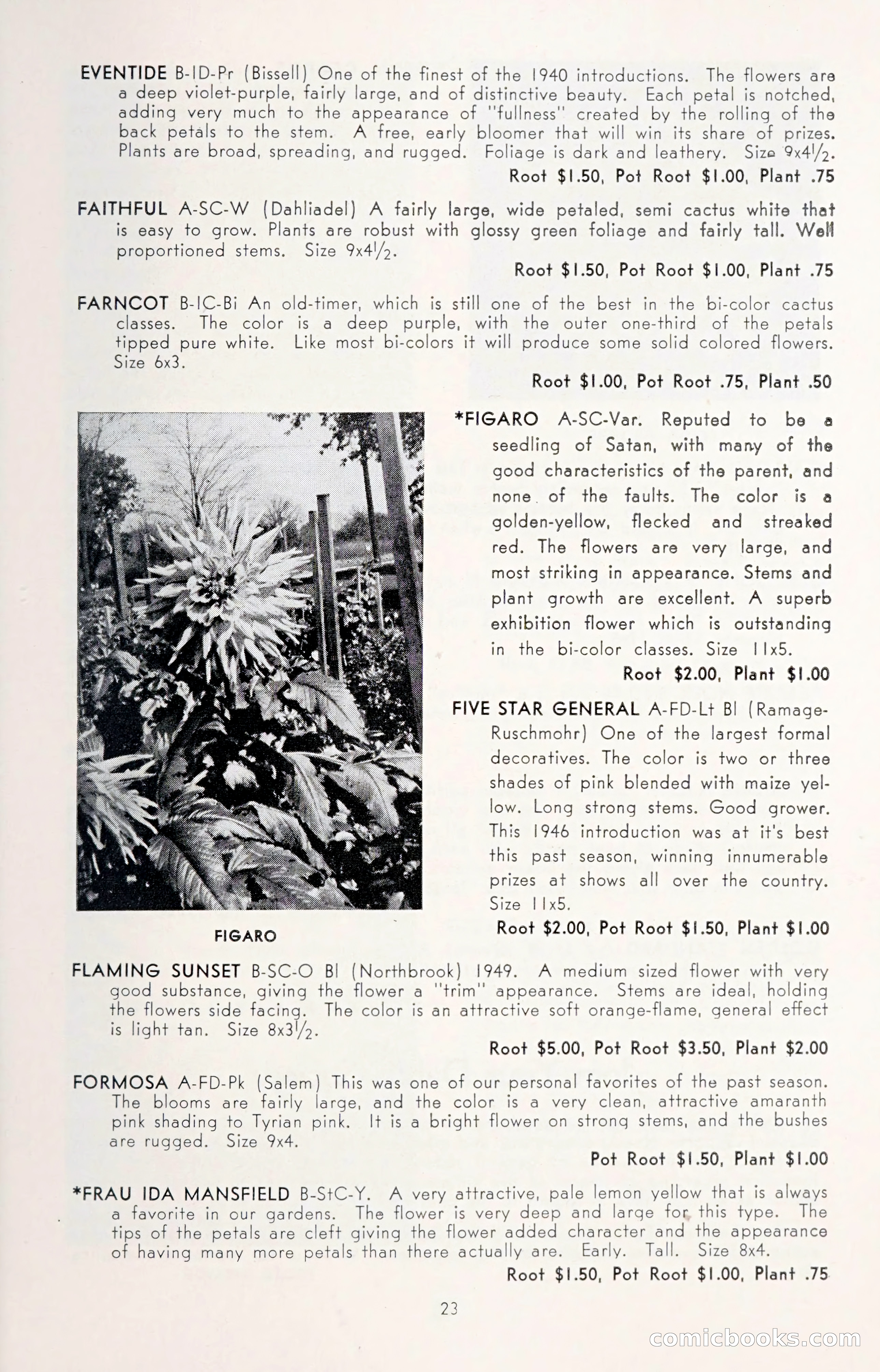 Dahlia Blue Book for 1950 — page 27 of 64