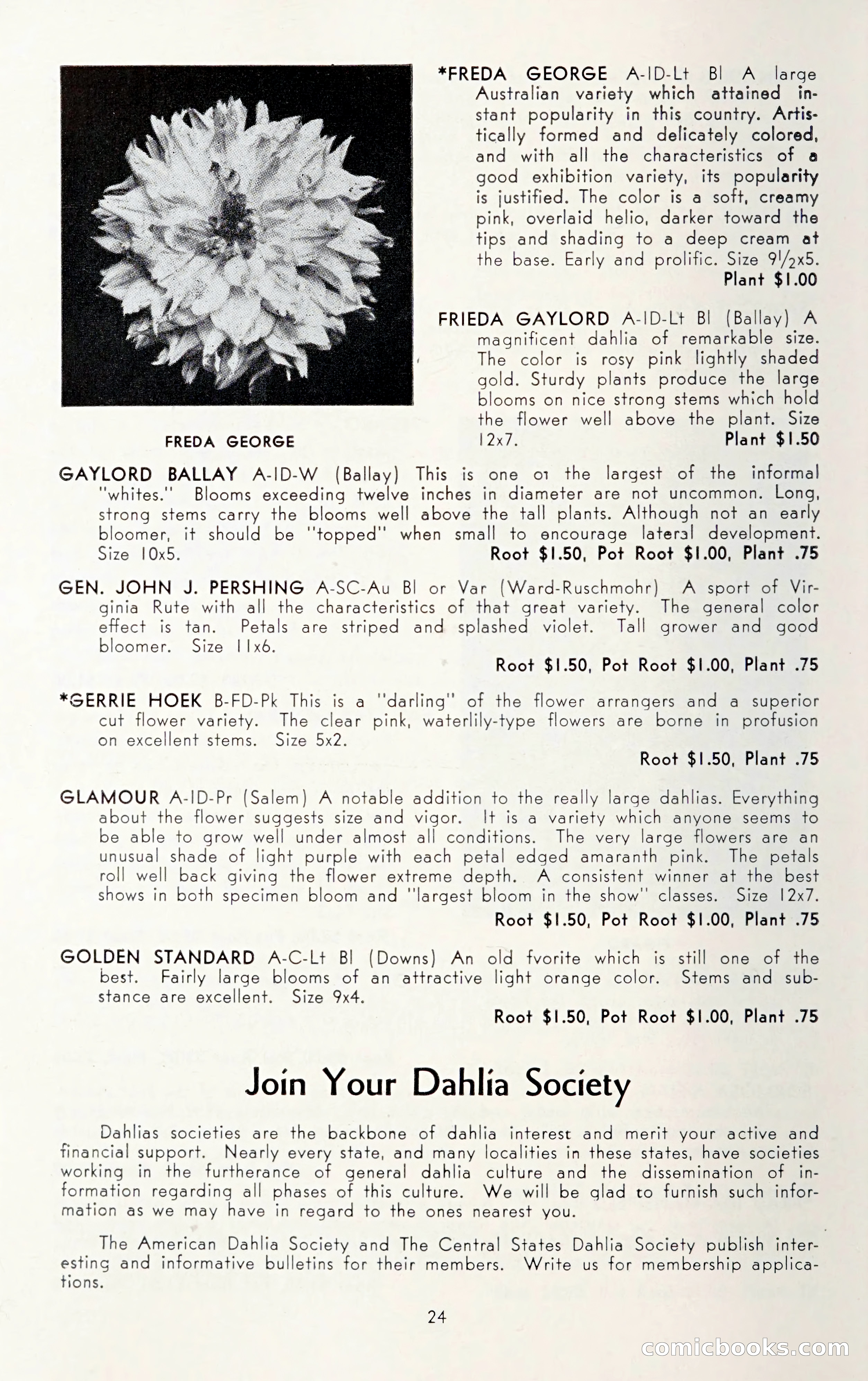 Dahlia Blue Book for 1950 — page 28 of 64