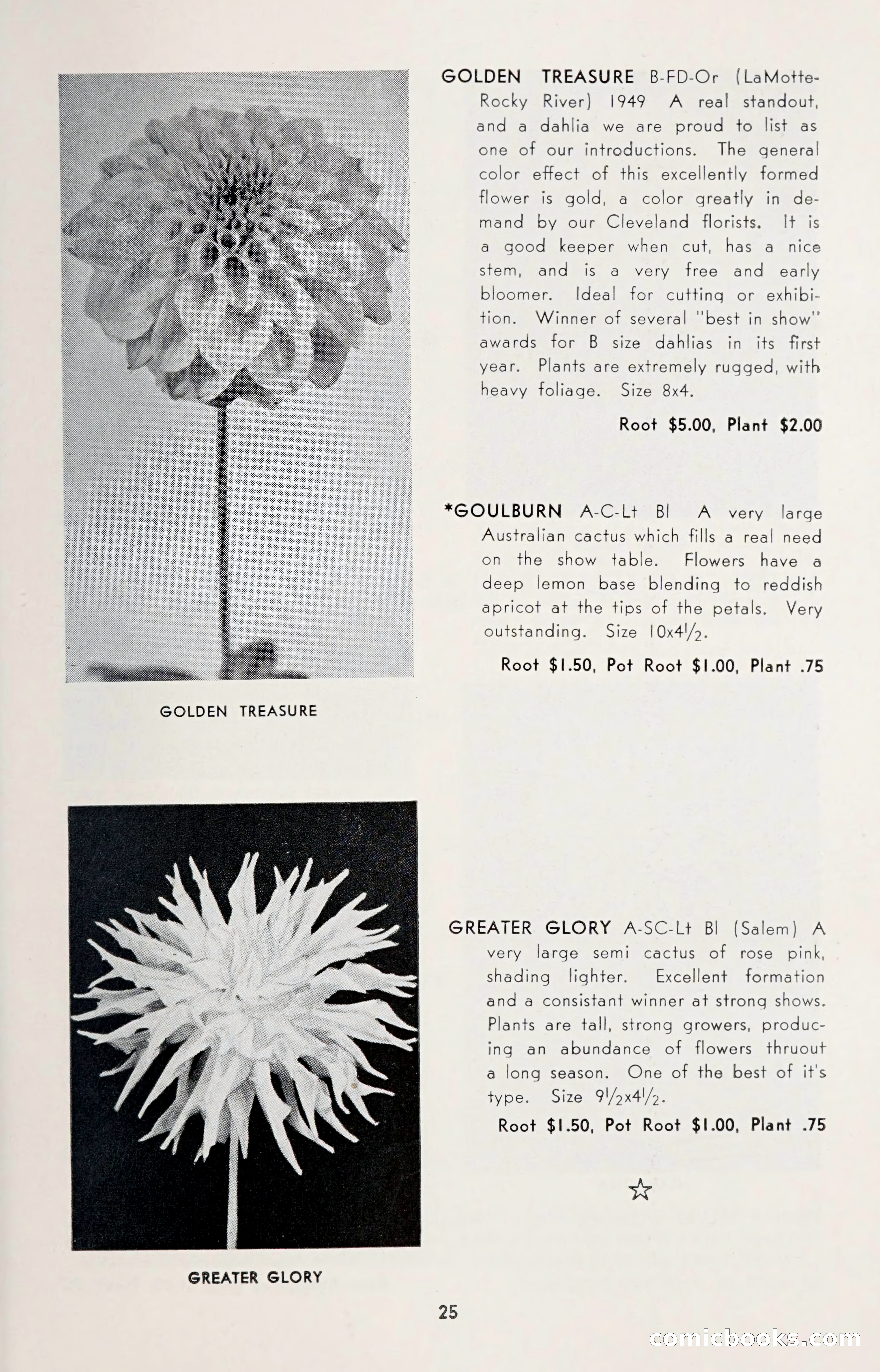 Dahlia Blue Book for 1950 — page 29 of 64