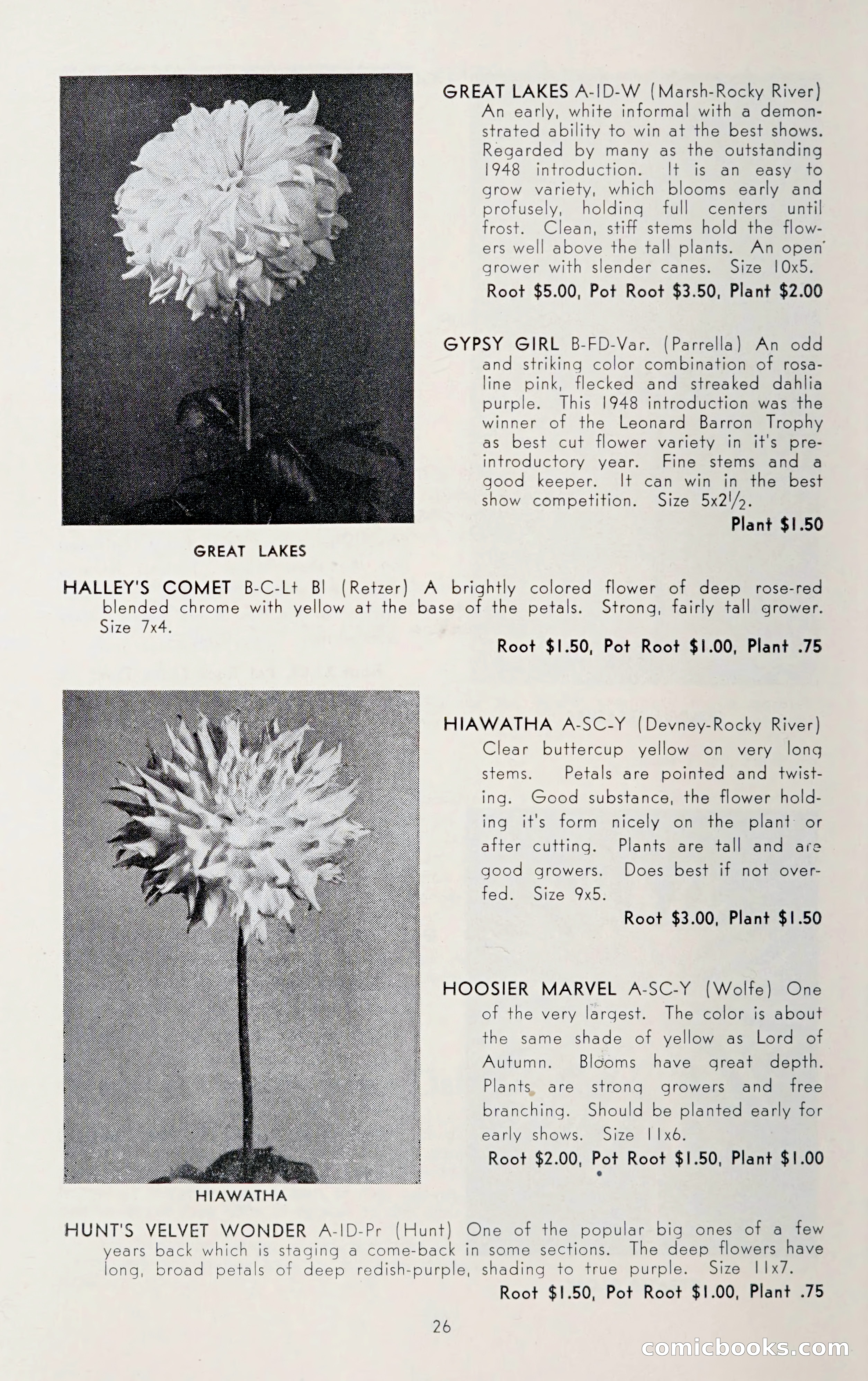 Dahlia Blue Book for 1950 — page 30 of 64