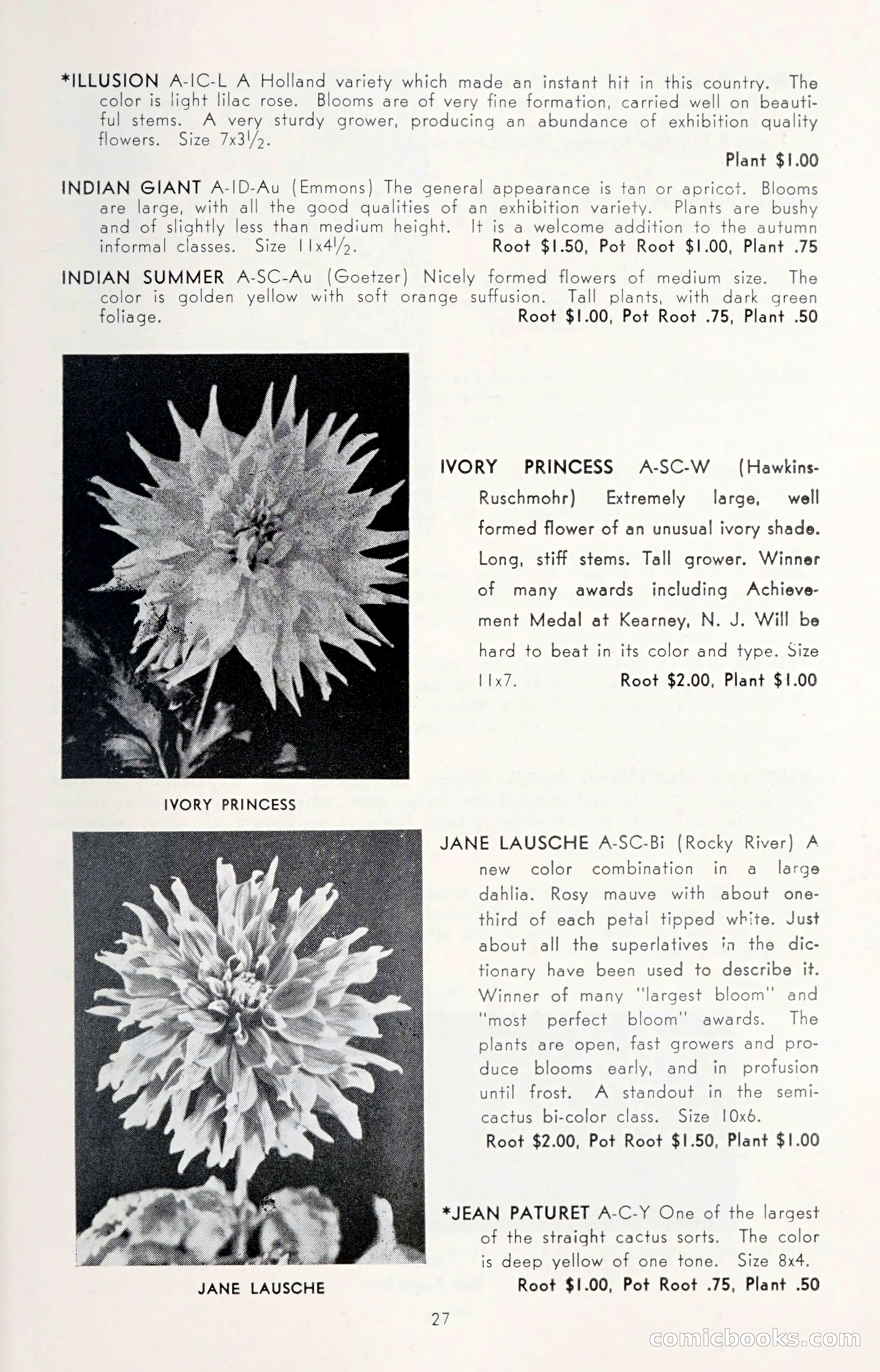 Dahlia Blue Book for 1950 — page 31 of 64