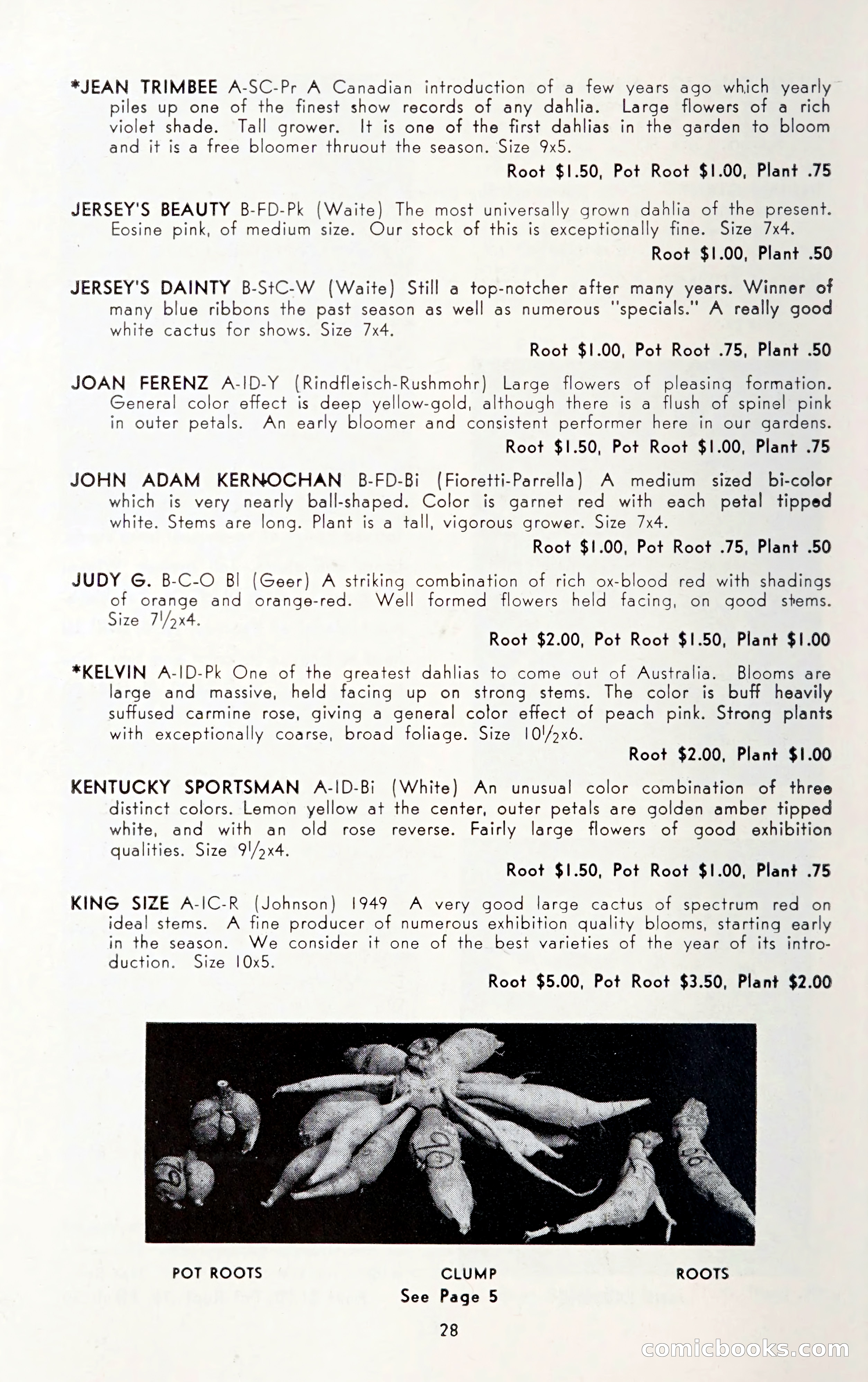 Dahlia Blue Book for 1950 — page 32 of 64