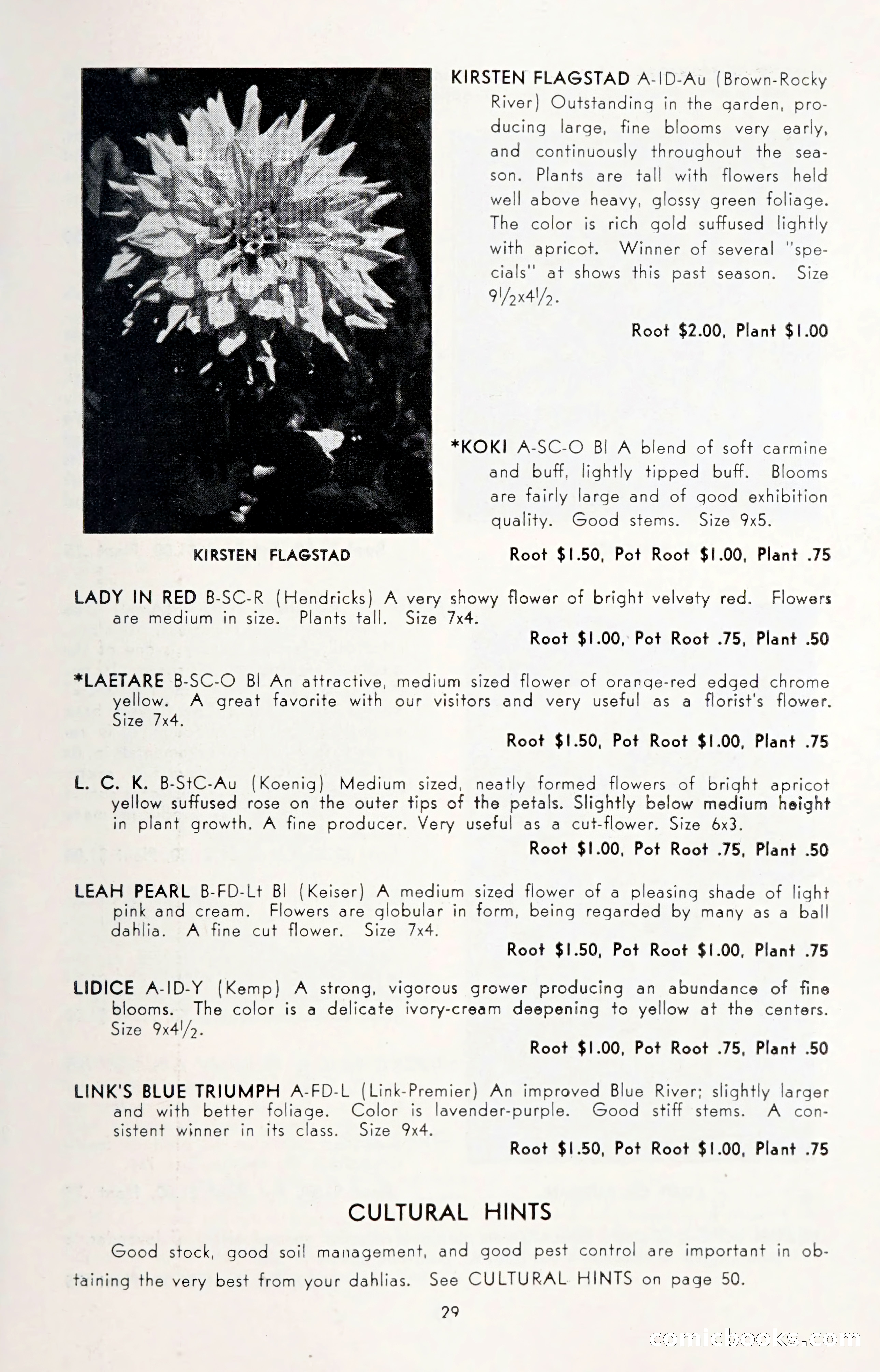 Dahlia Blue Book for 1950 — page 33 of 64