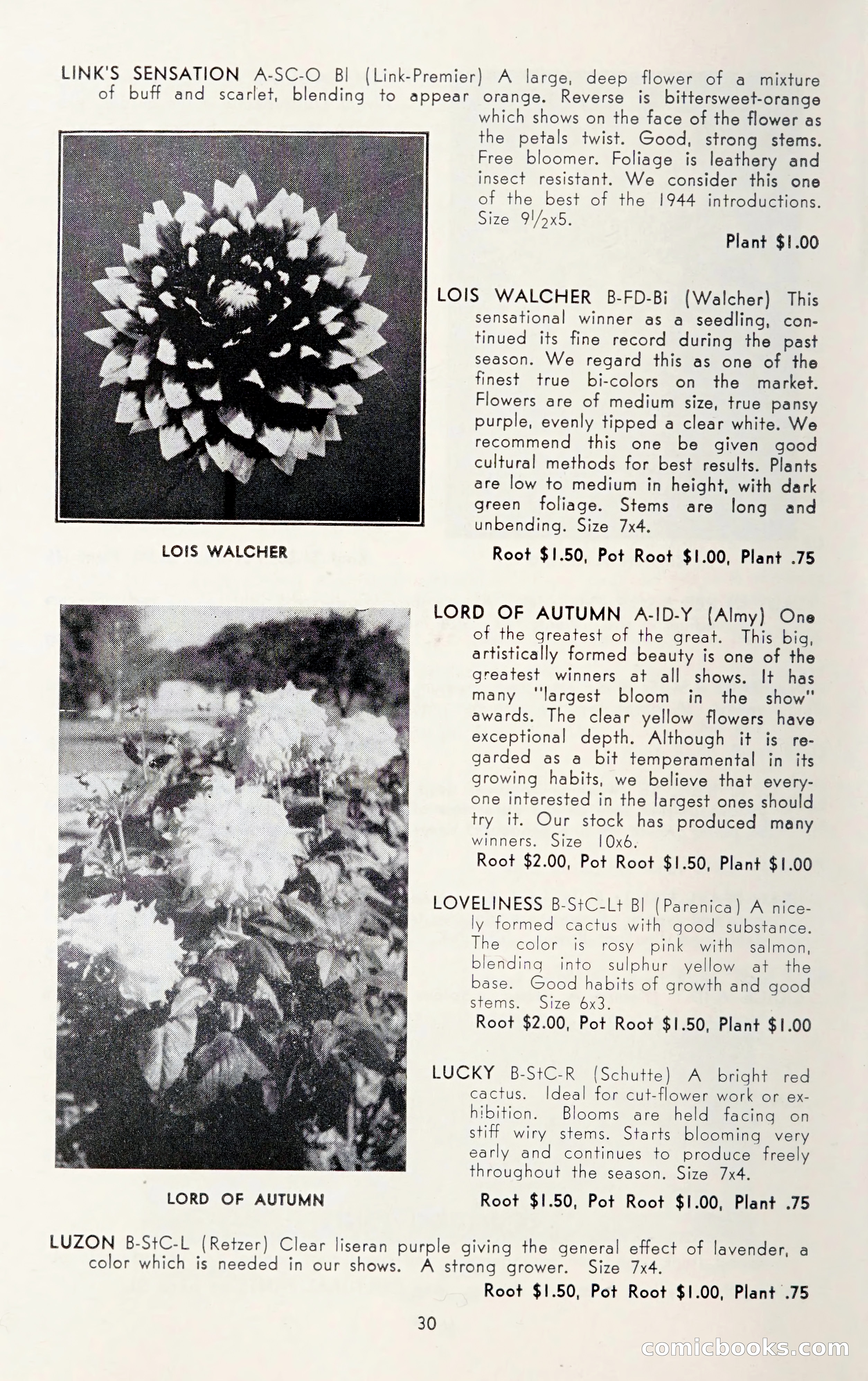 Dahlia Blue Book for 1950 — page 34 of 64