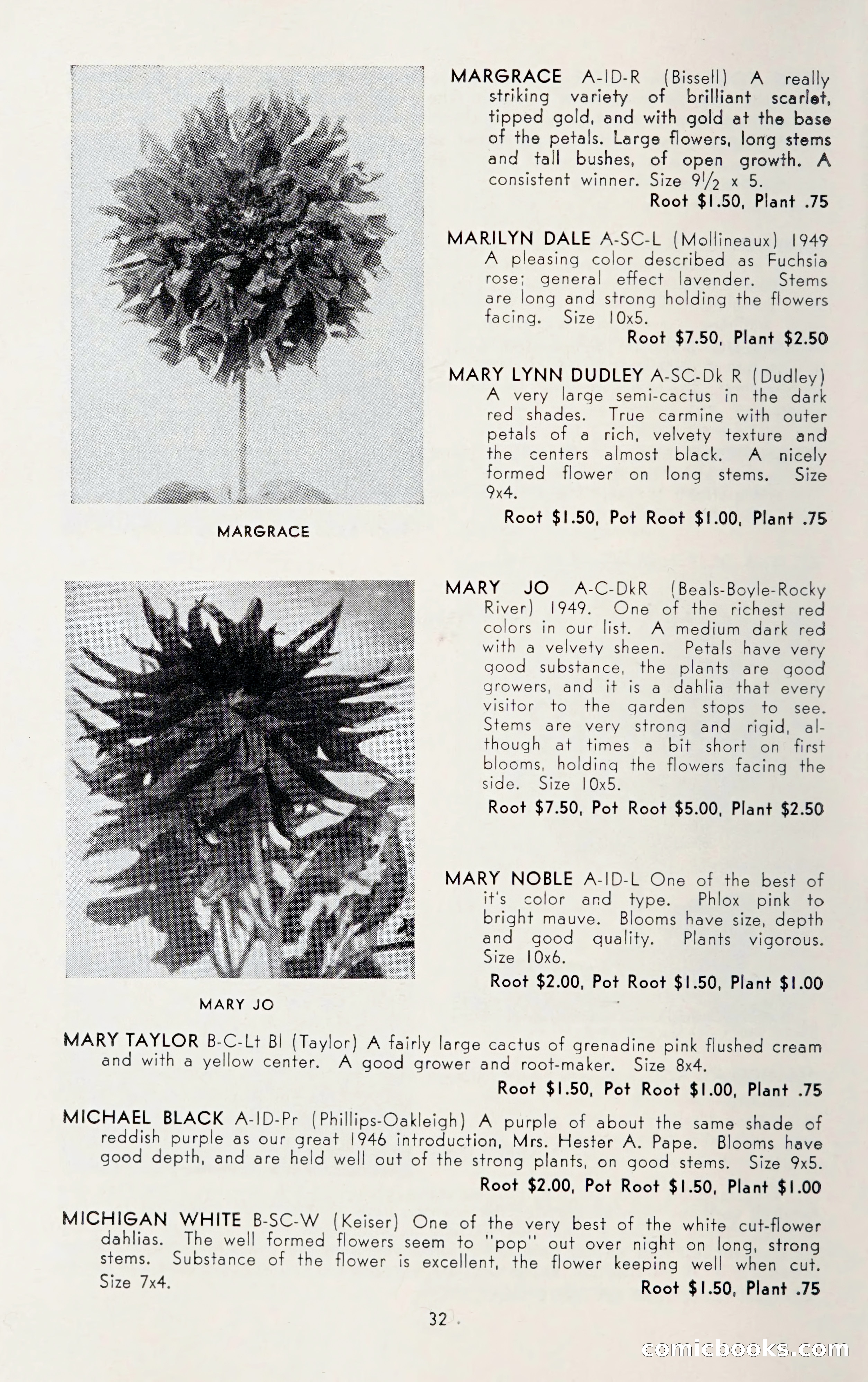 Dahlia Blue Book for 1950 — page 36 of 64