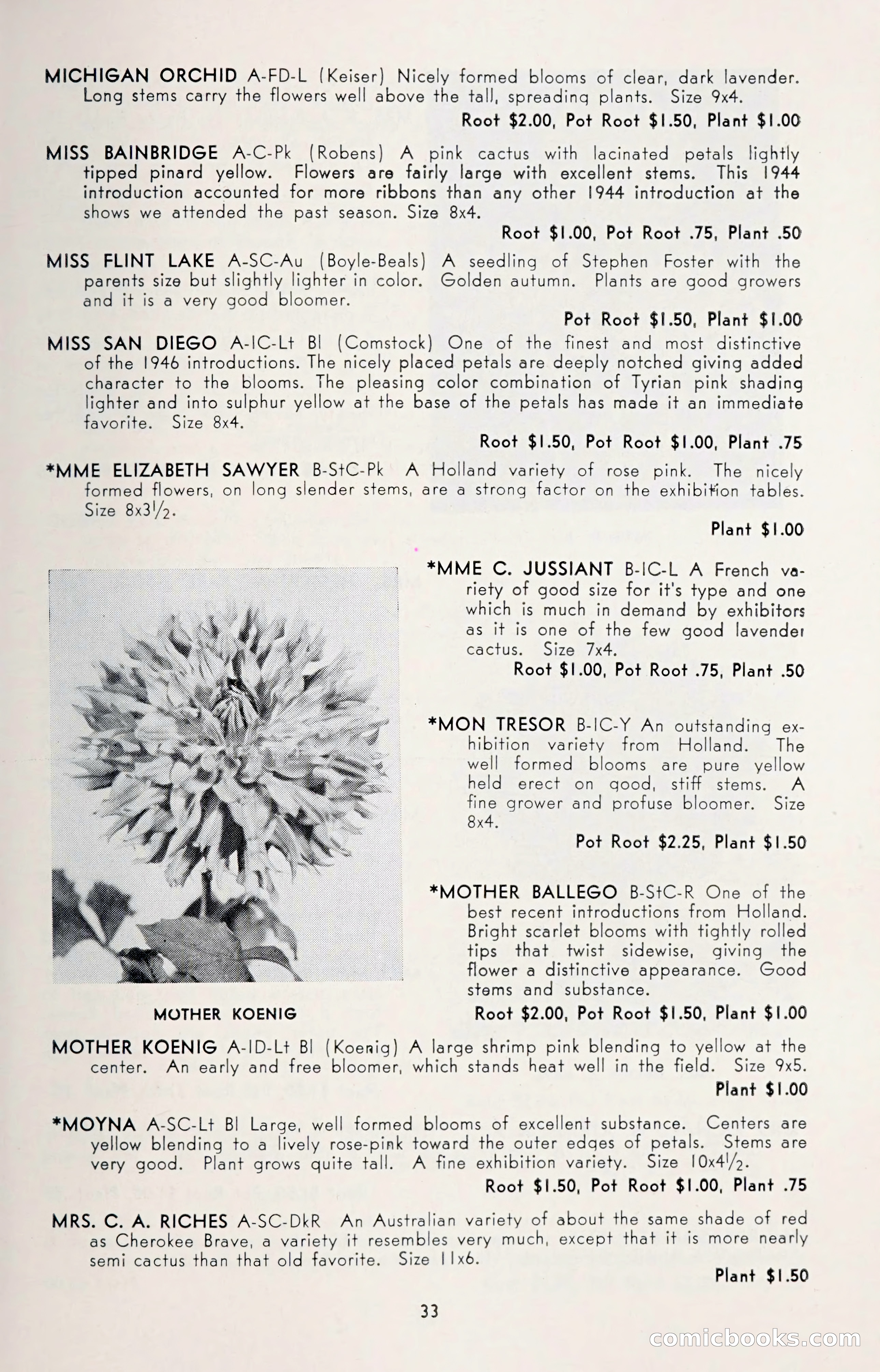Dahlia Blue Book for 1950 — page 37 of 64
