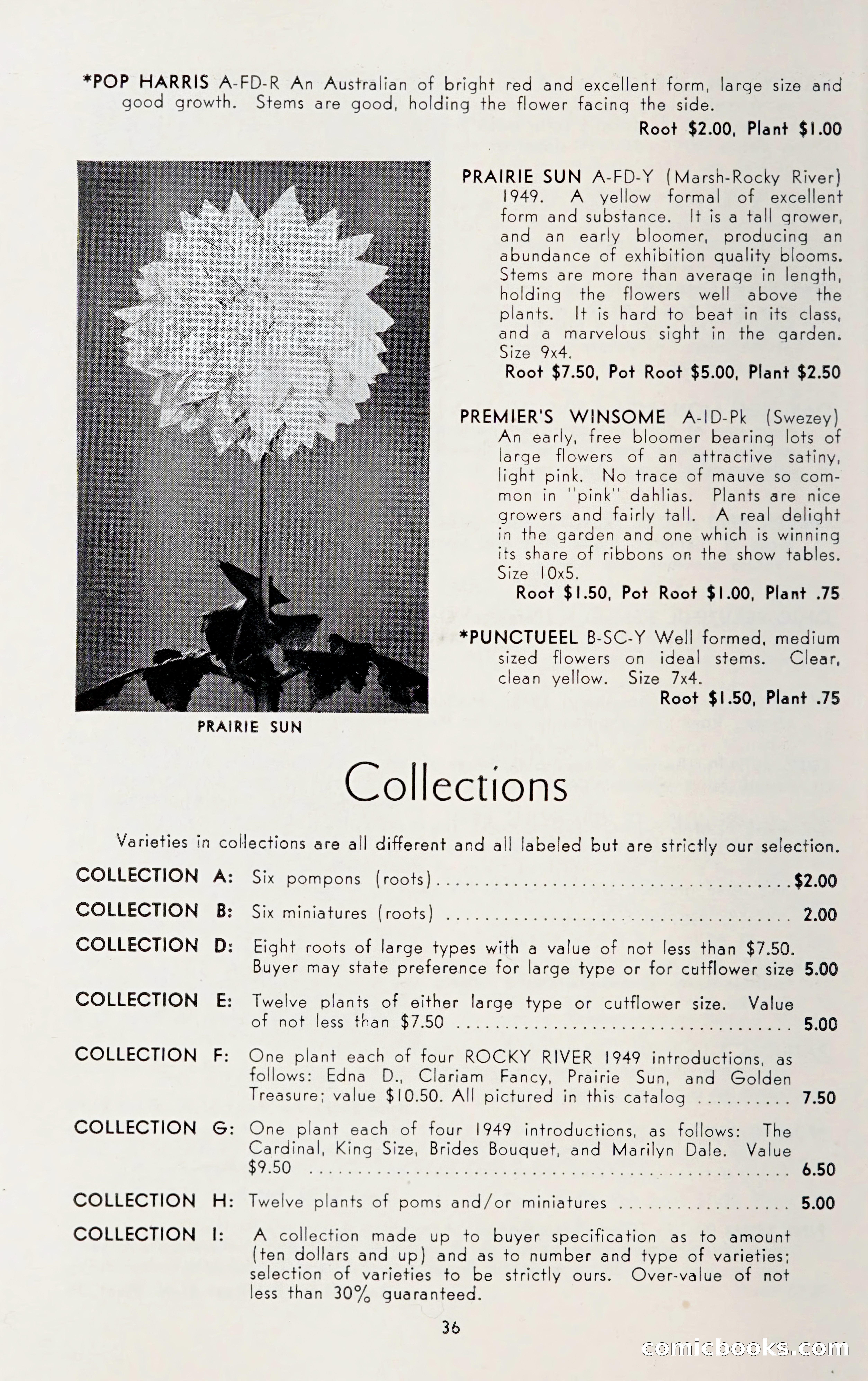 Dahlia Blue Book for 1950 — page 40 of 64