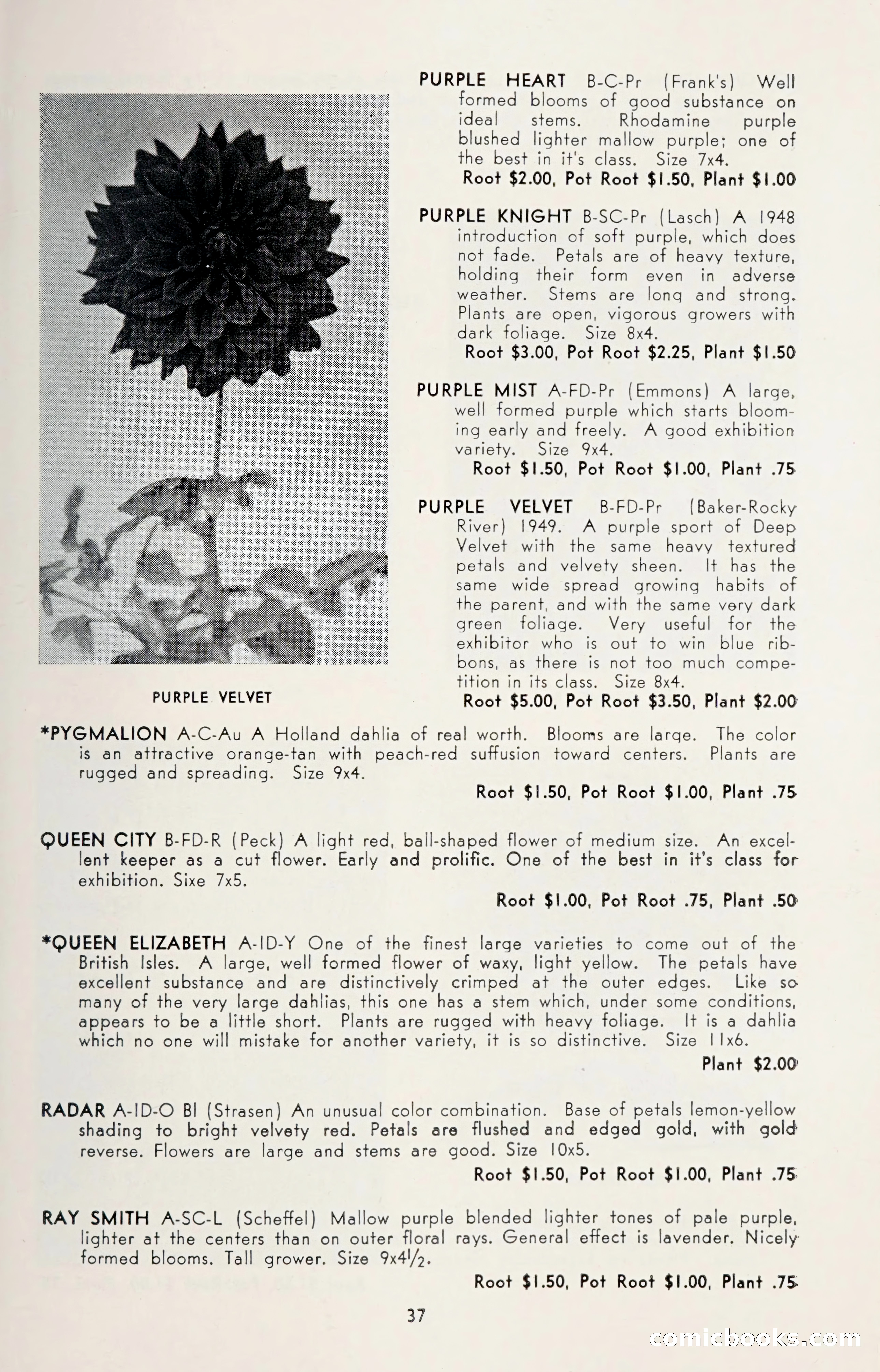 Dahlia Blue Book for 1950 — page 41 of 64
