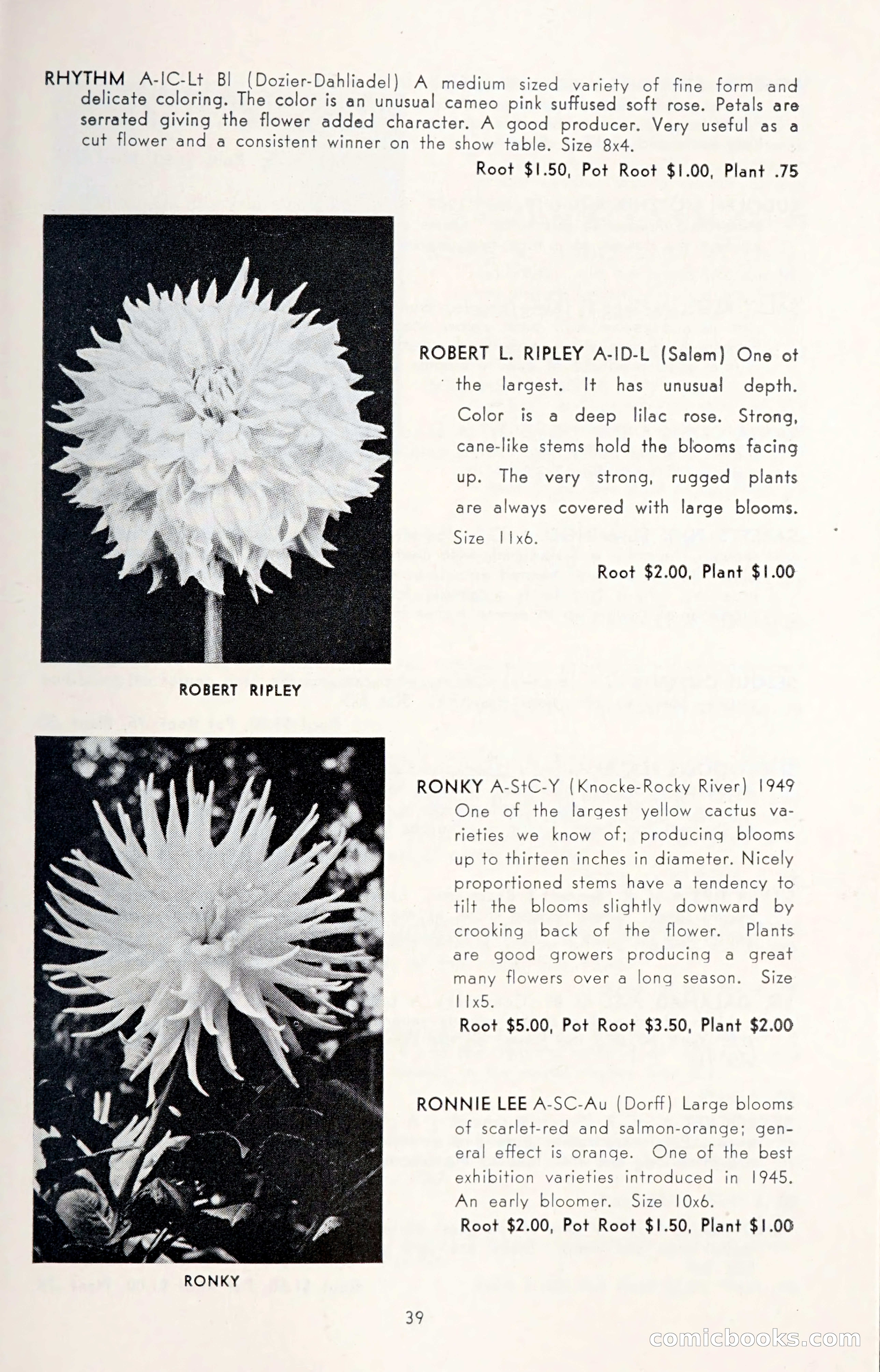 Dahlia Blue Book for 1950 — page 43 of 64