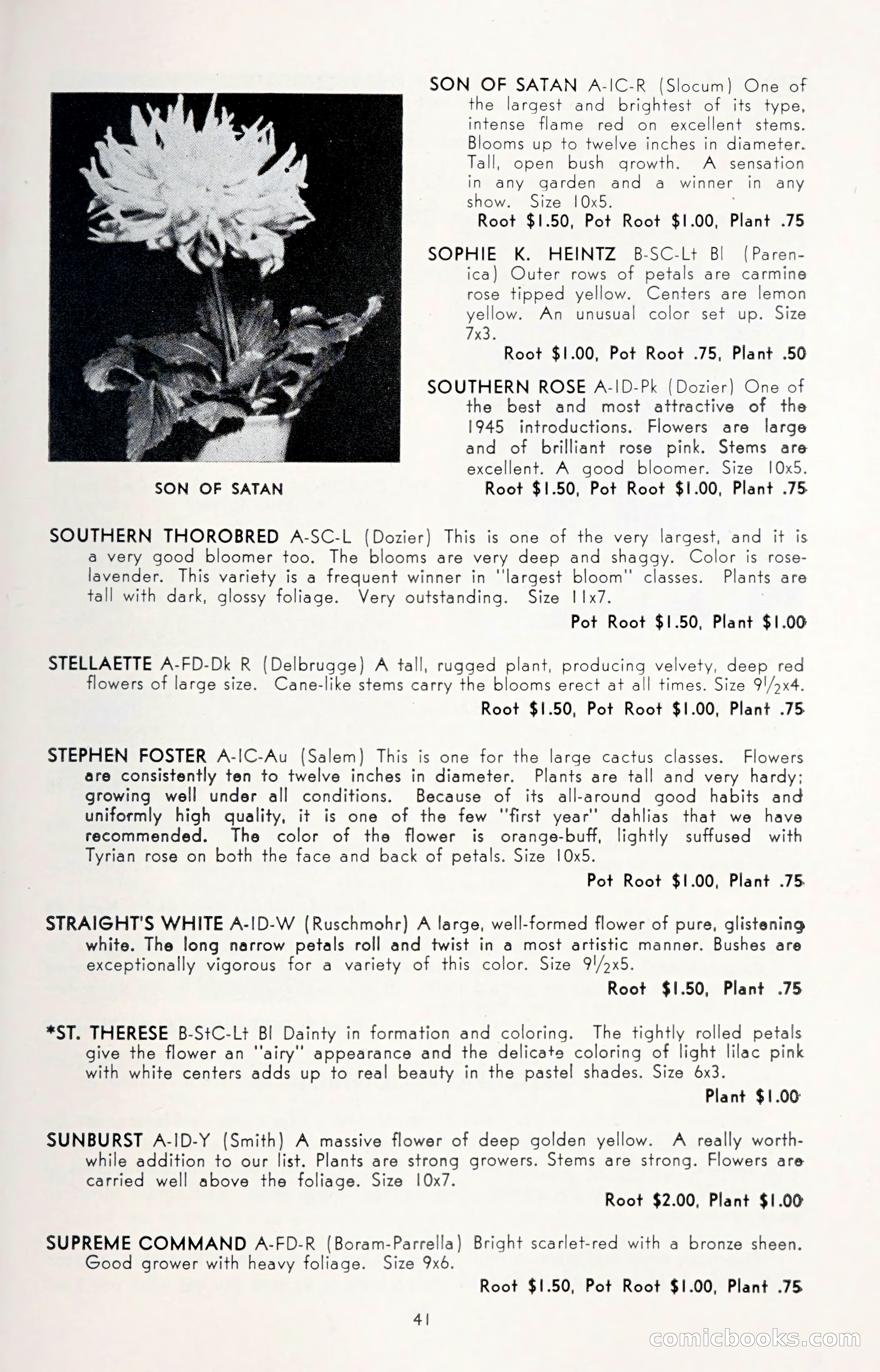 Dahlia Blue Book for 1950 — page 45 of 64