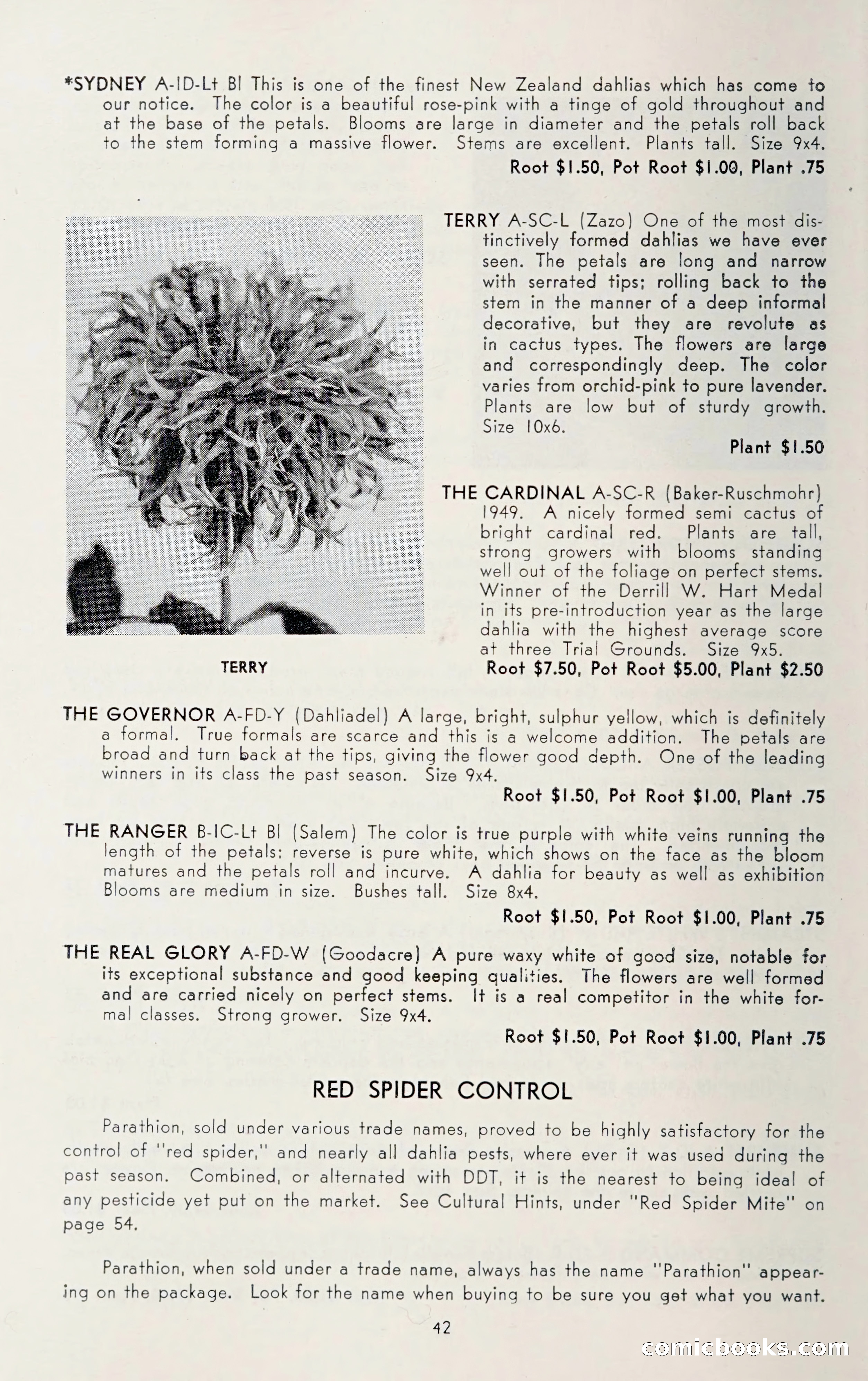 Dahlia Blue Book for 1950 — page 46 of 64