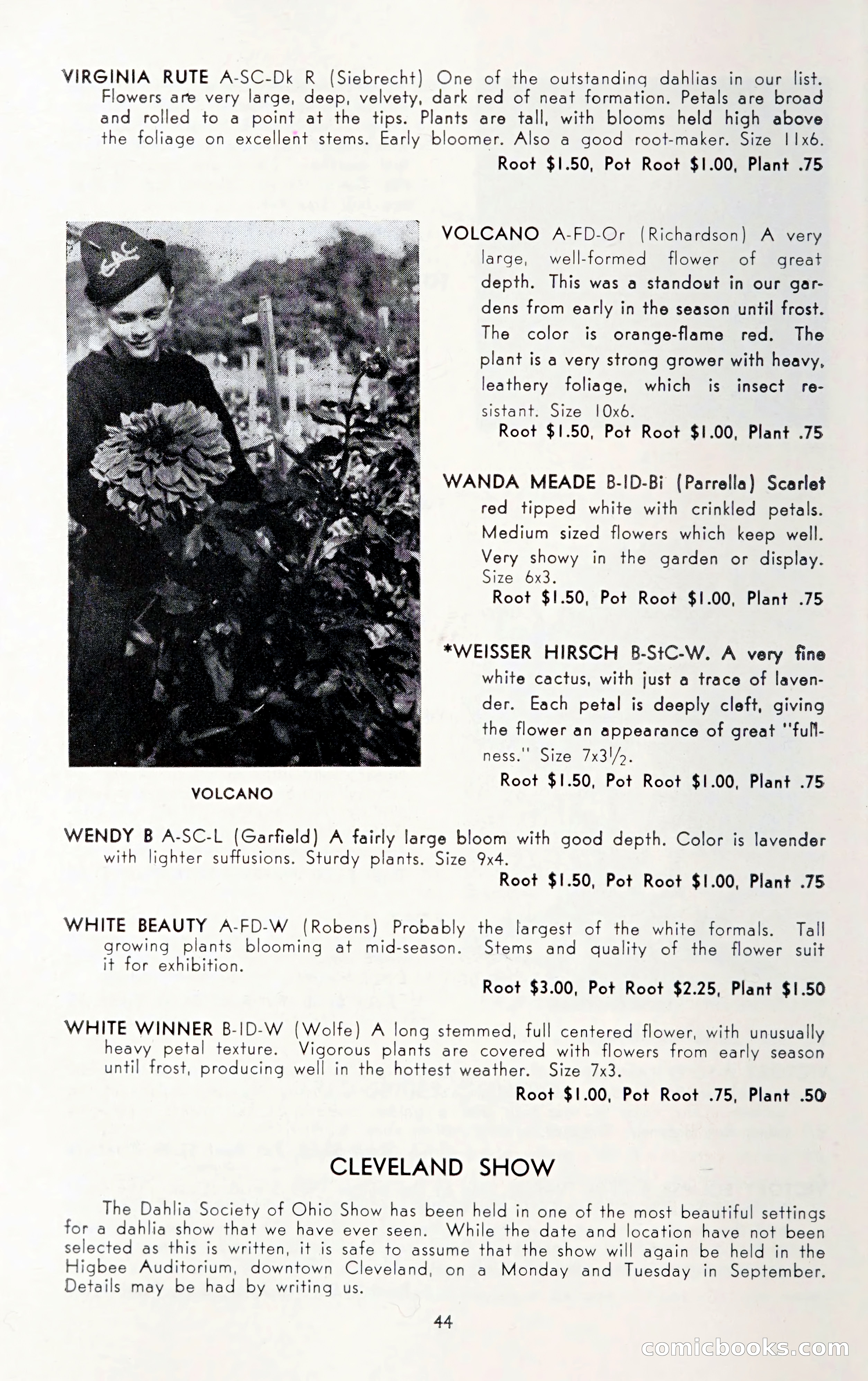 Dahlia Blue Book for 1950 — page 48 of 64