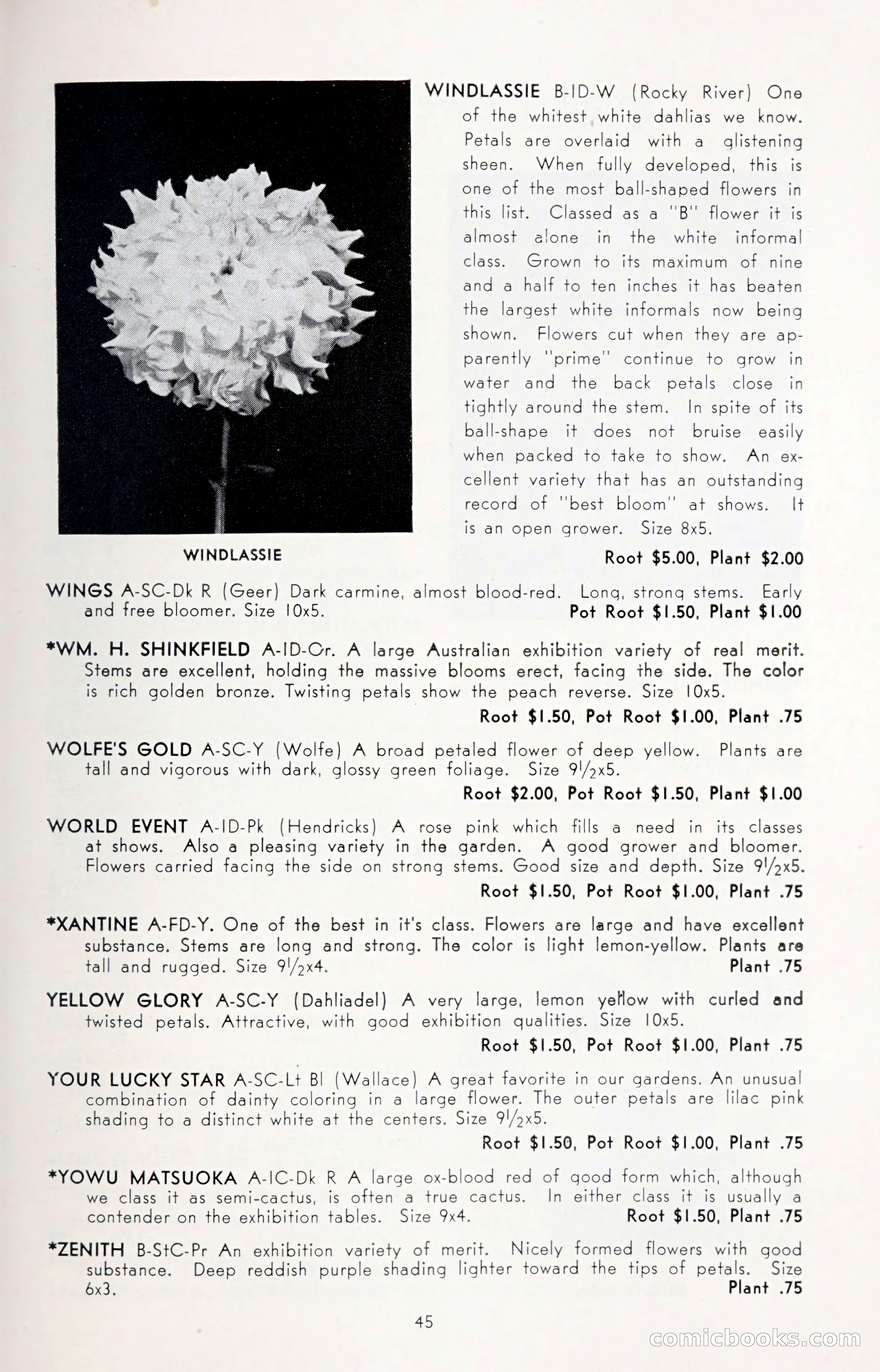 Dahlia Blue Book for 1950 — page 49 of 64