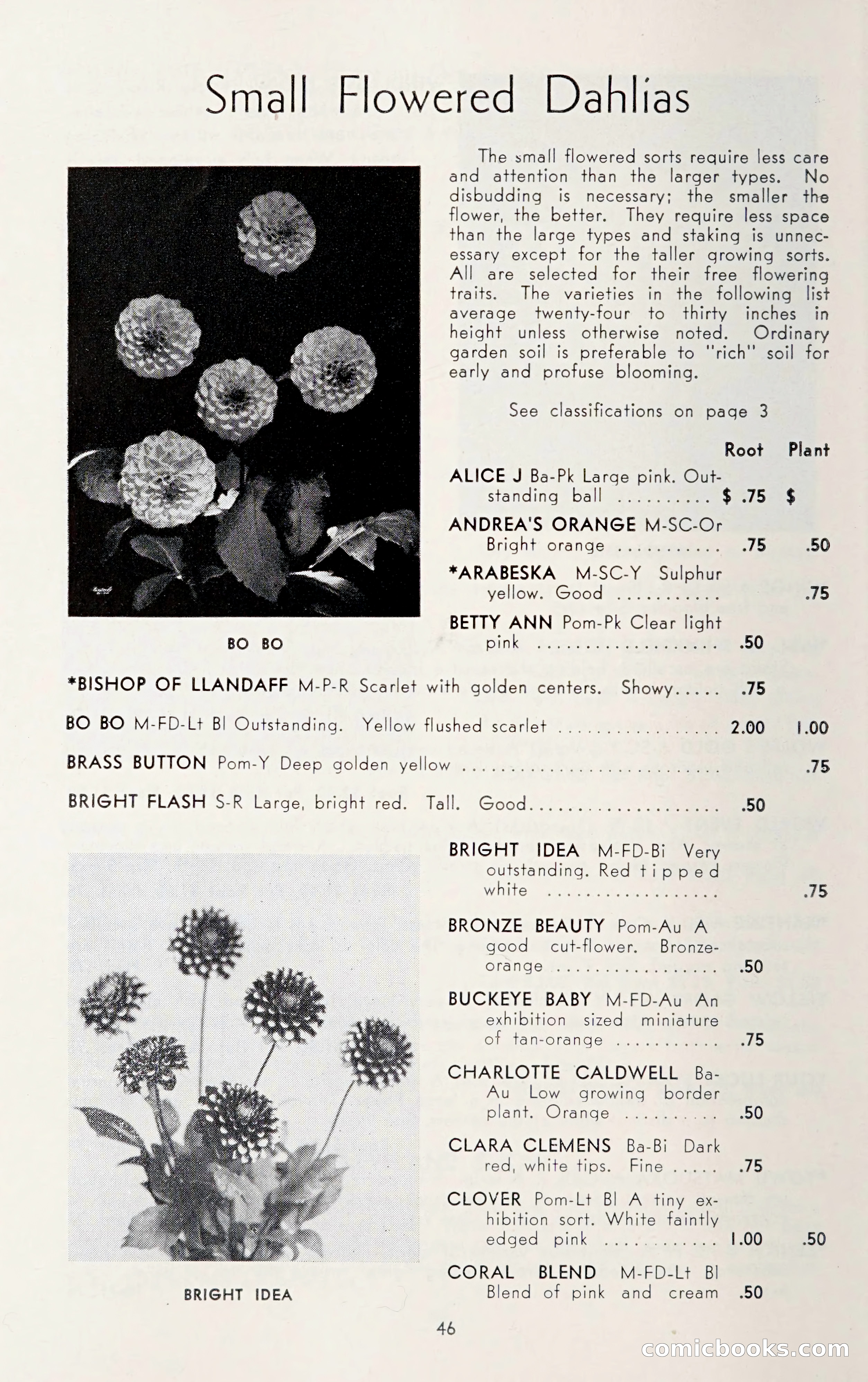 Dahlia Blue Book for 1950 — page 50 of 64