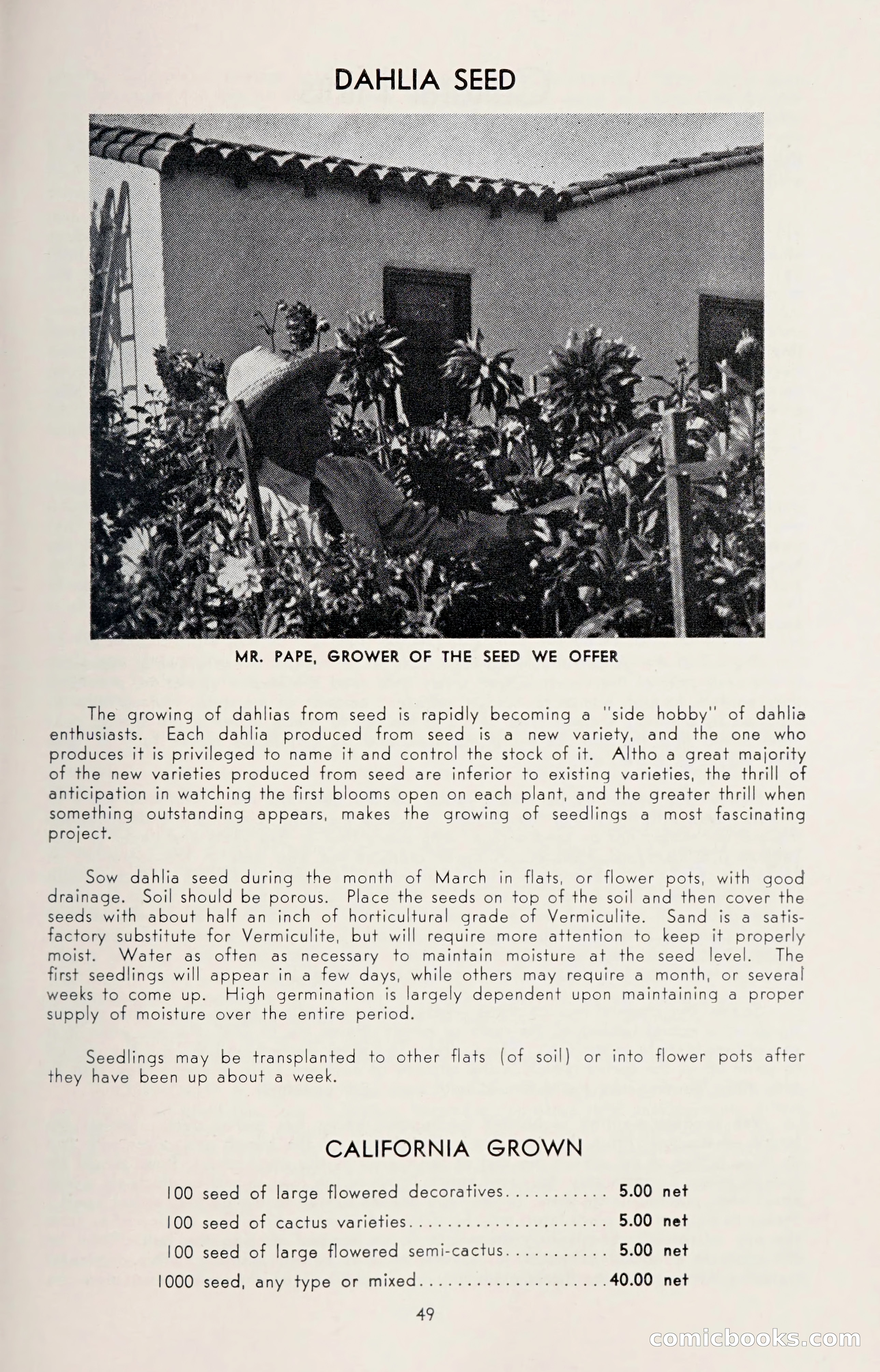 Dahlia Blue Book for 1950 — page 53 of 64