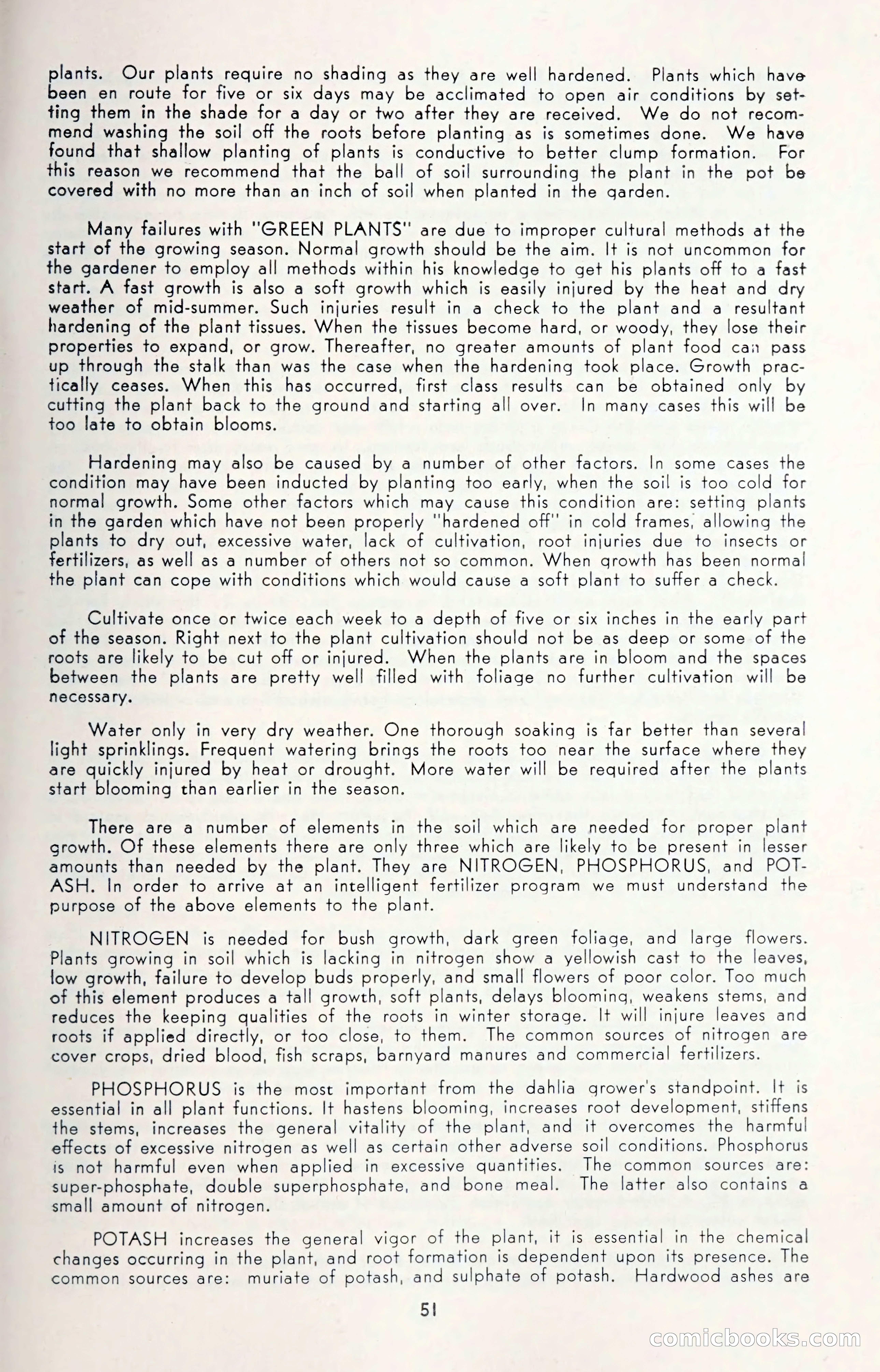 Dahlia Blue Book for 1950 — page 55 of 64