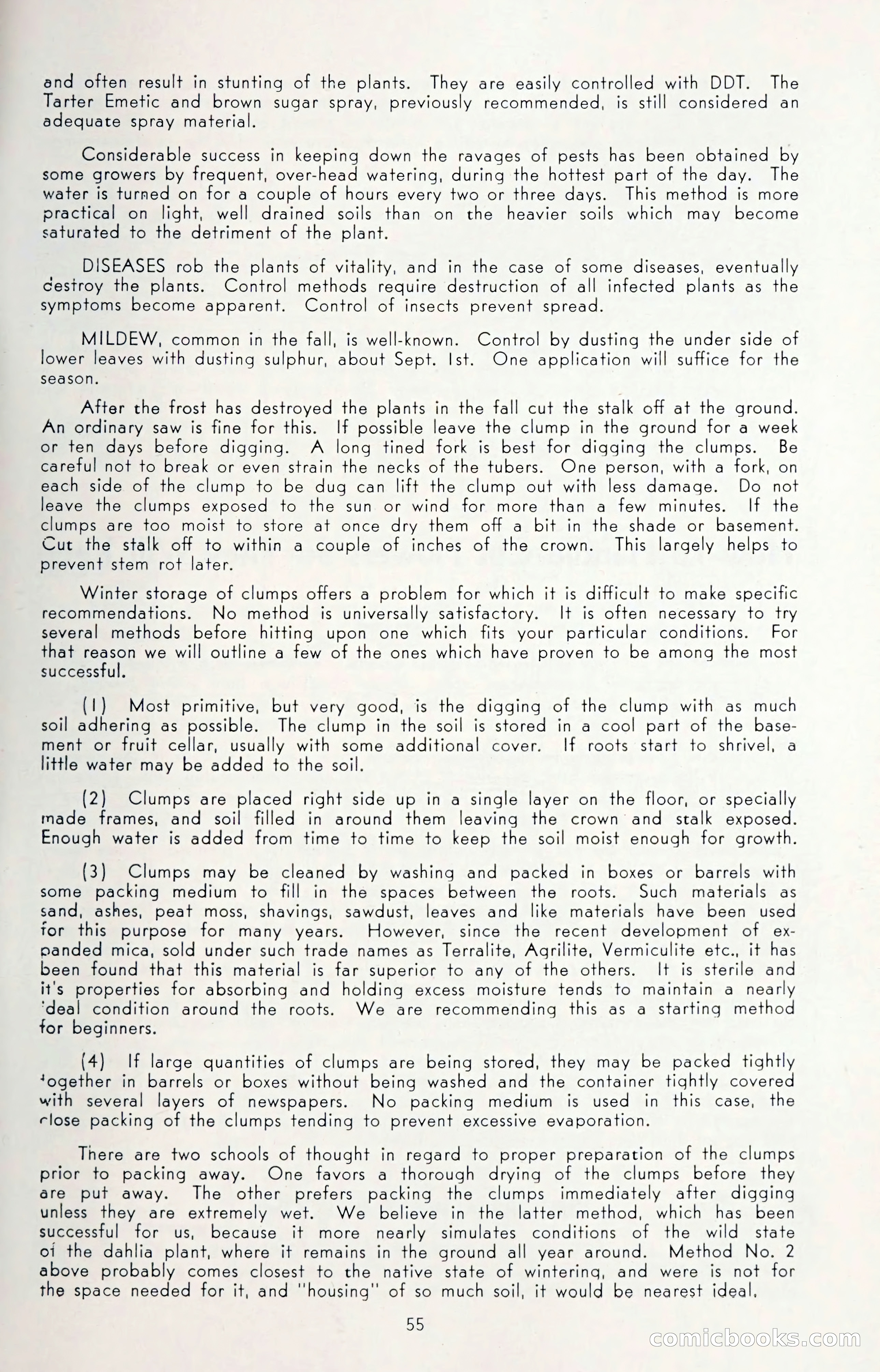 Dahlia Blue Book for 1950 — page 59 of 64