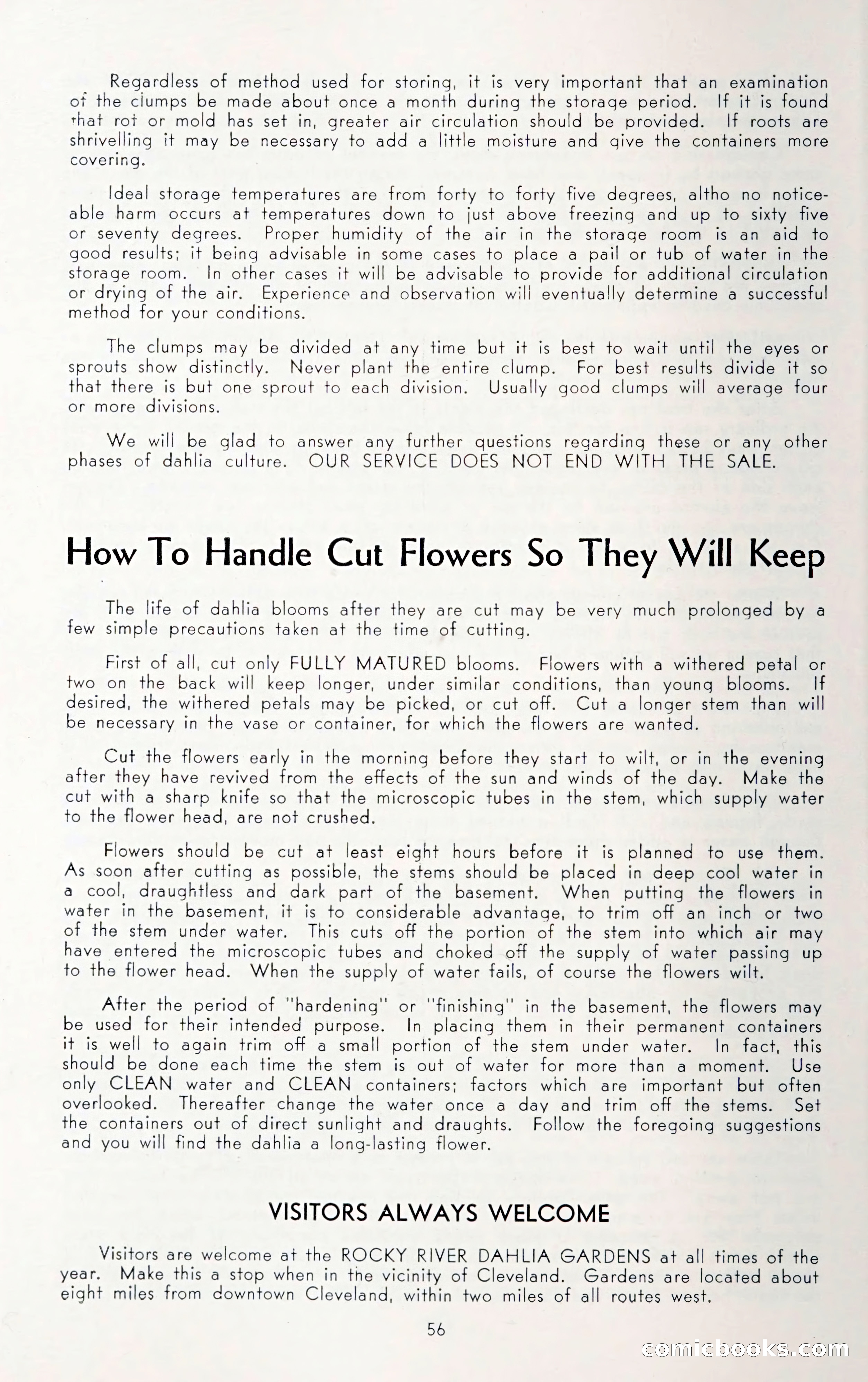 Dahlia Blue Book for 1950 — page 60 of 64